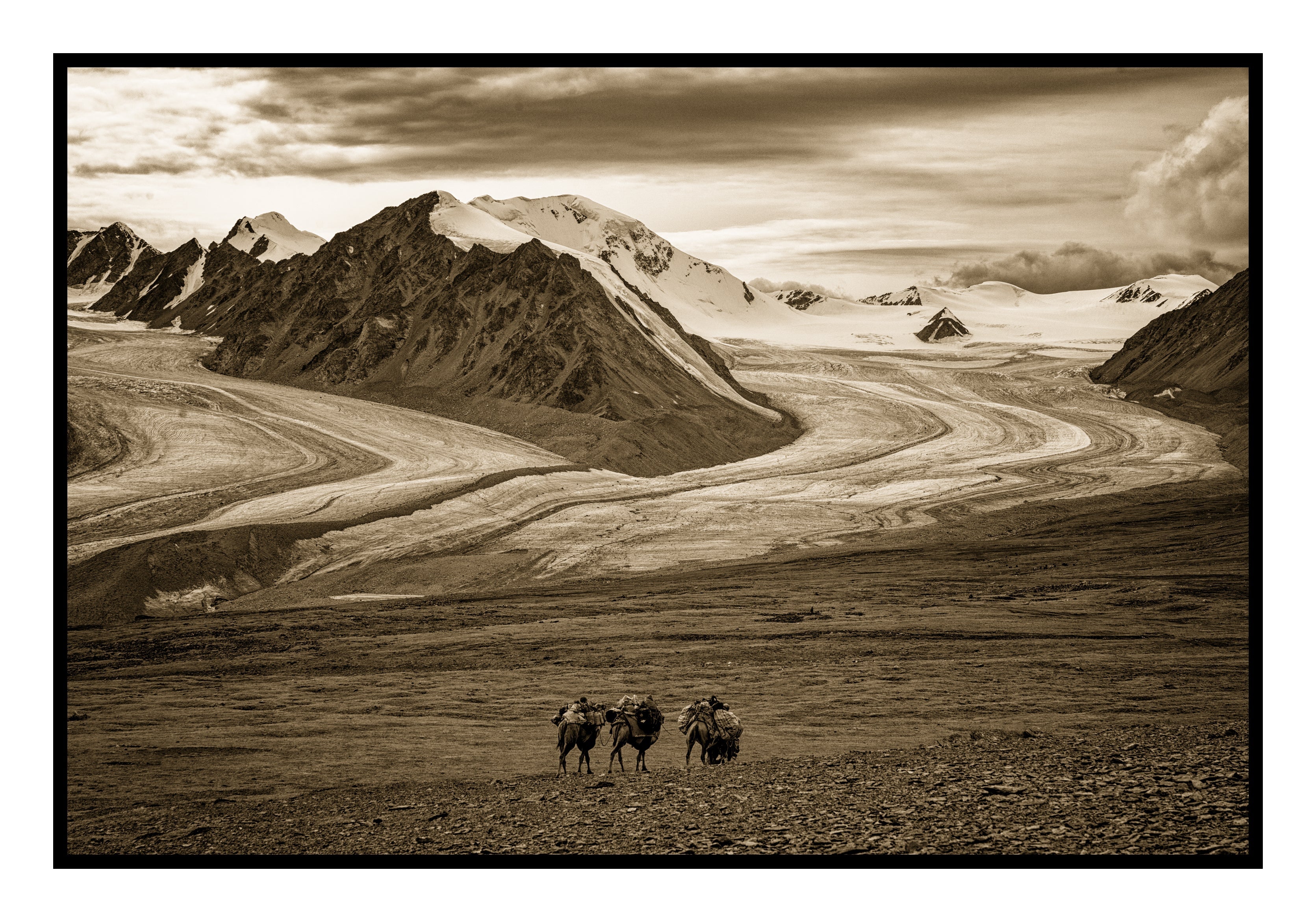 Altai Mountains and Camels, Mongolia, 2022