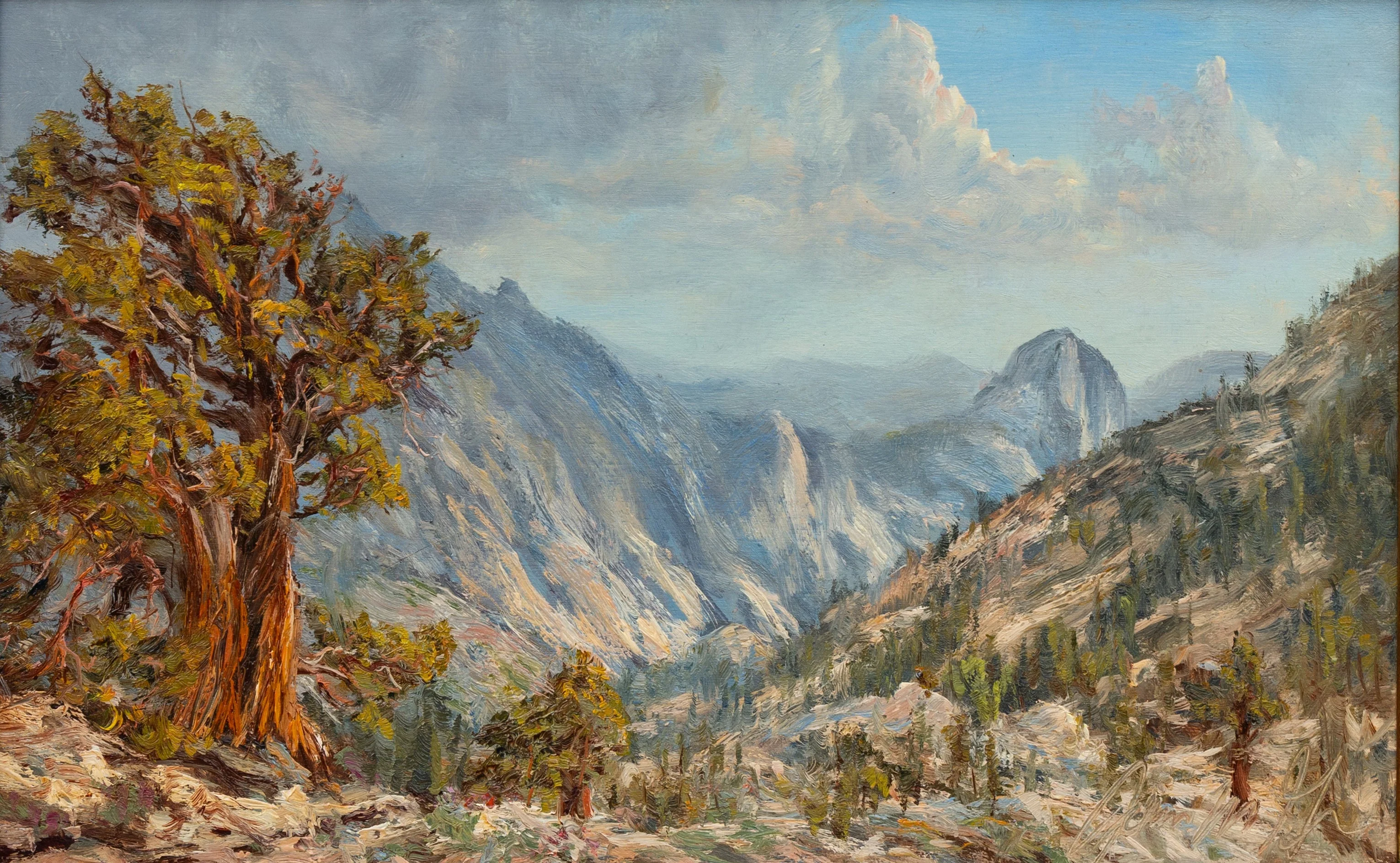 Anceint Junipers Above Olmsted Point
