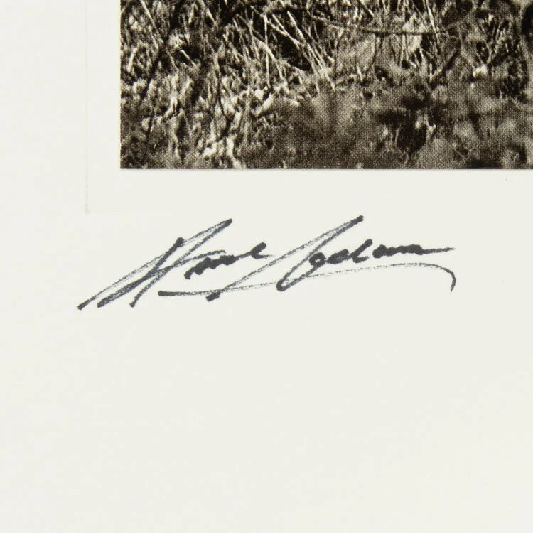 Aspens, Northern New Mexico (V), Signed Deluxe Poster - Image 3