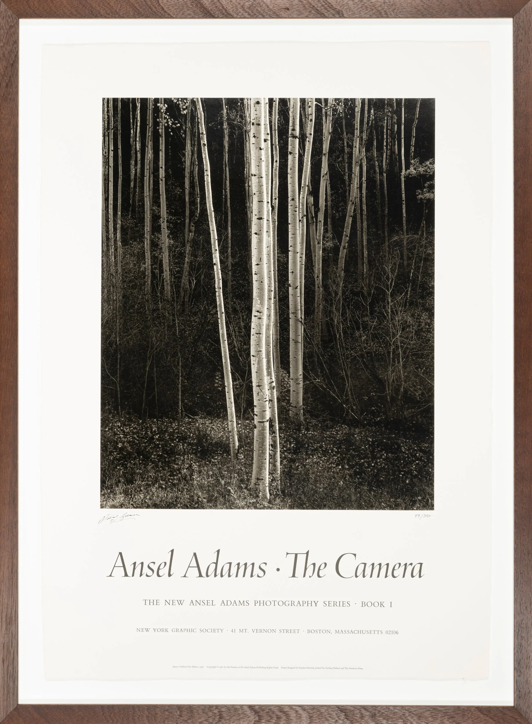Aspens, Northern New Mexico (V), Signed Deluxe Poster - Image 4