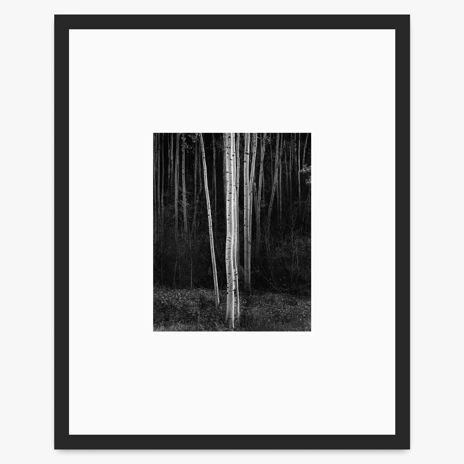 Aspens (Vertical) - Image 3