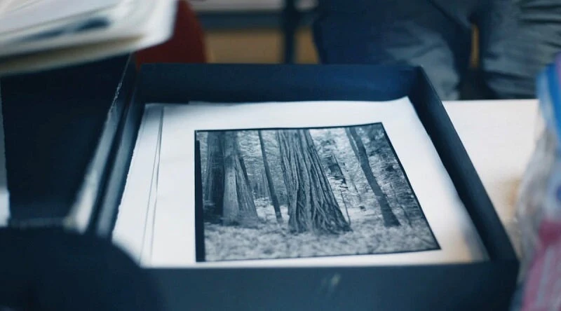 Carbon Transfer Printing - Image 9