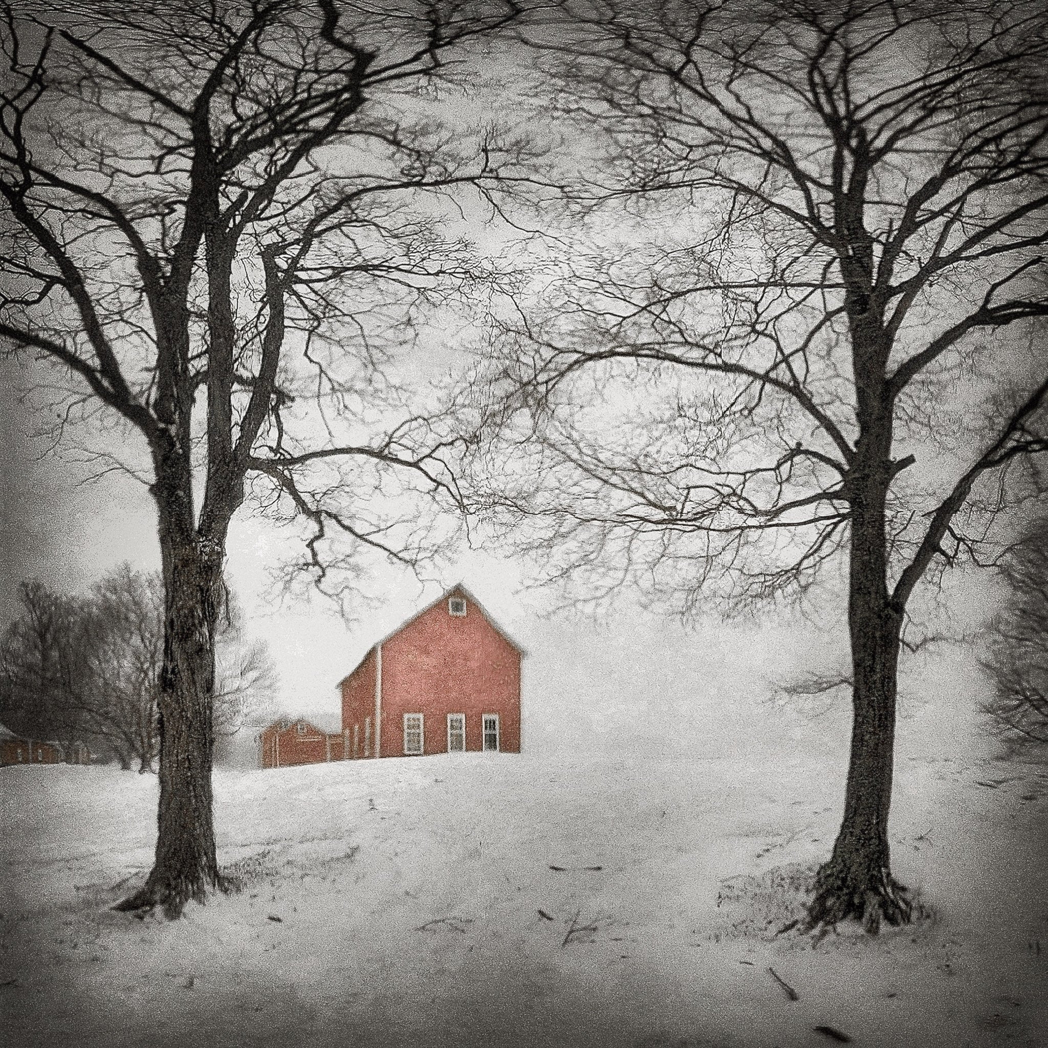 Barn and Trees in Snow