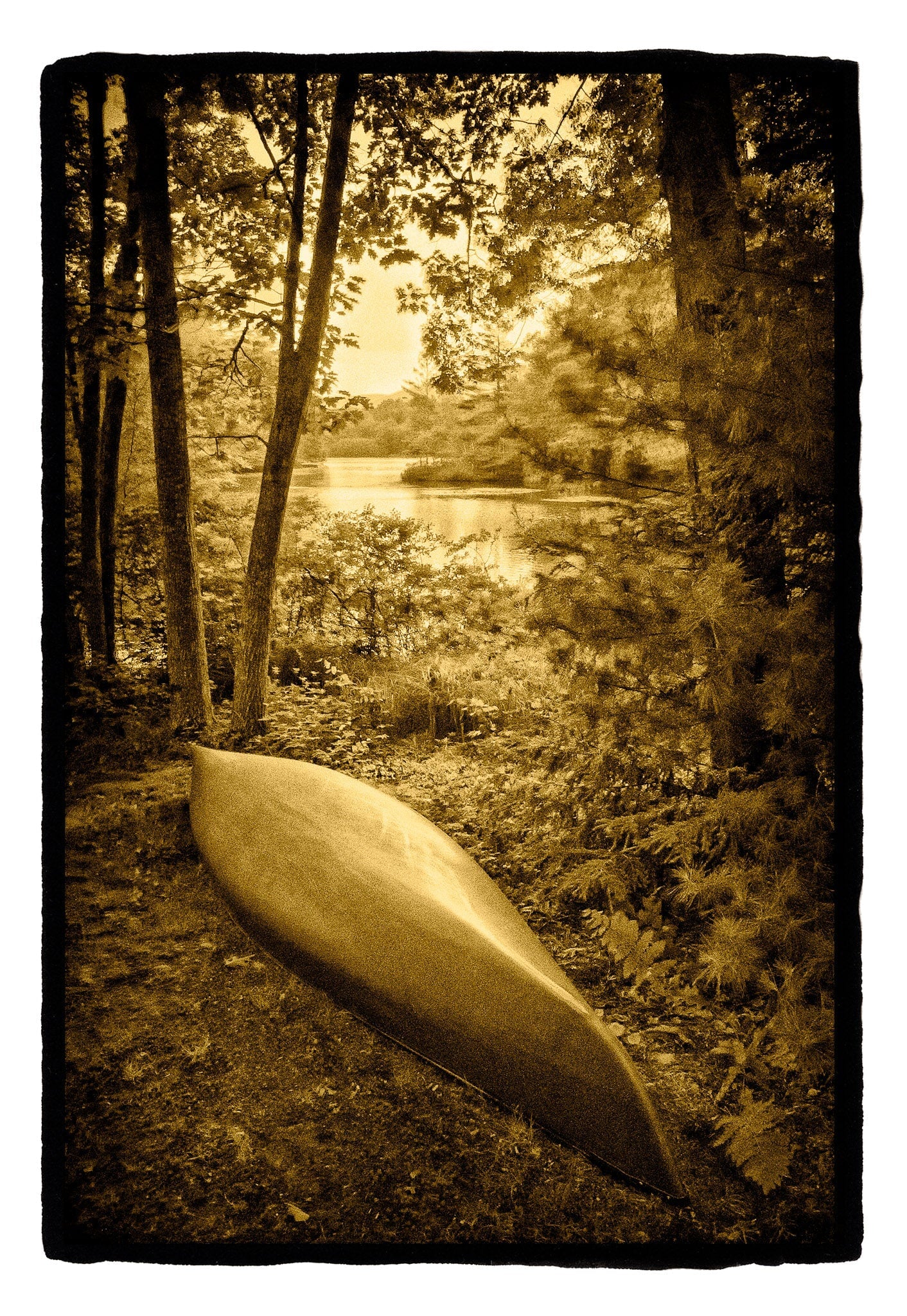 Canoe in Woods, Maine