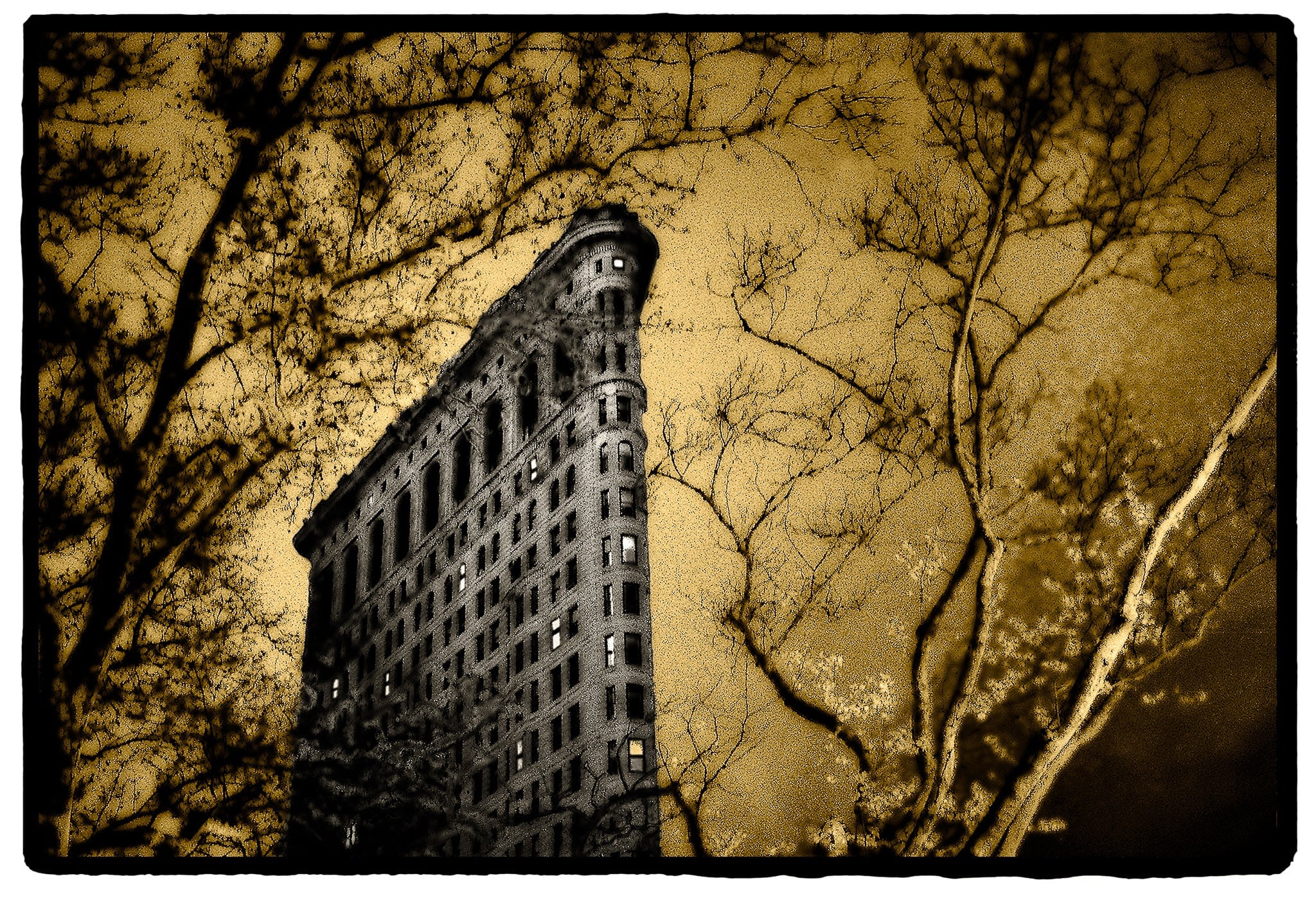 Flatiron in Spring, New York