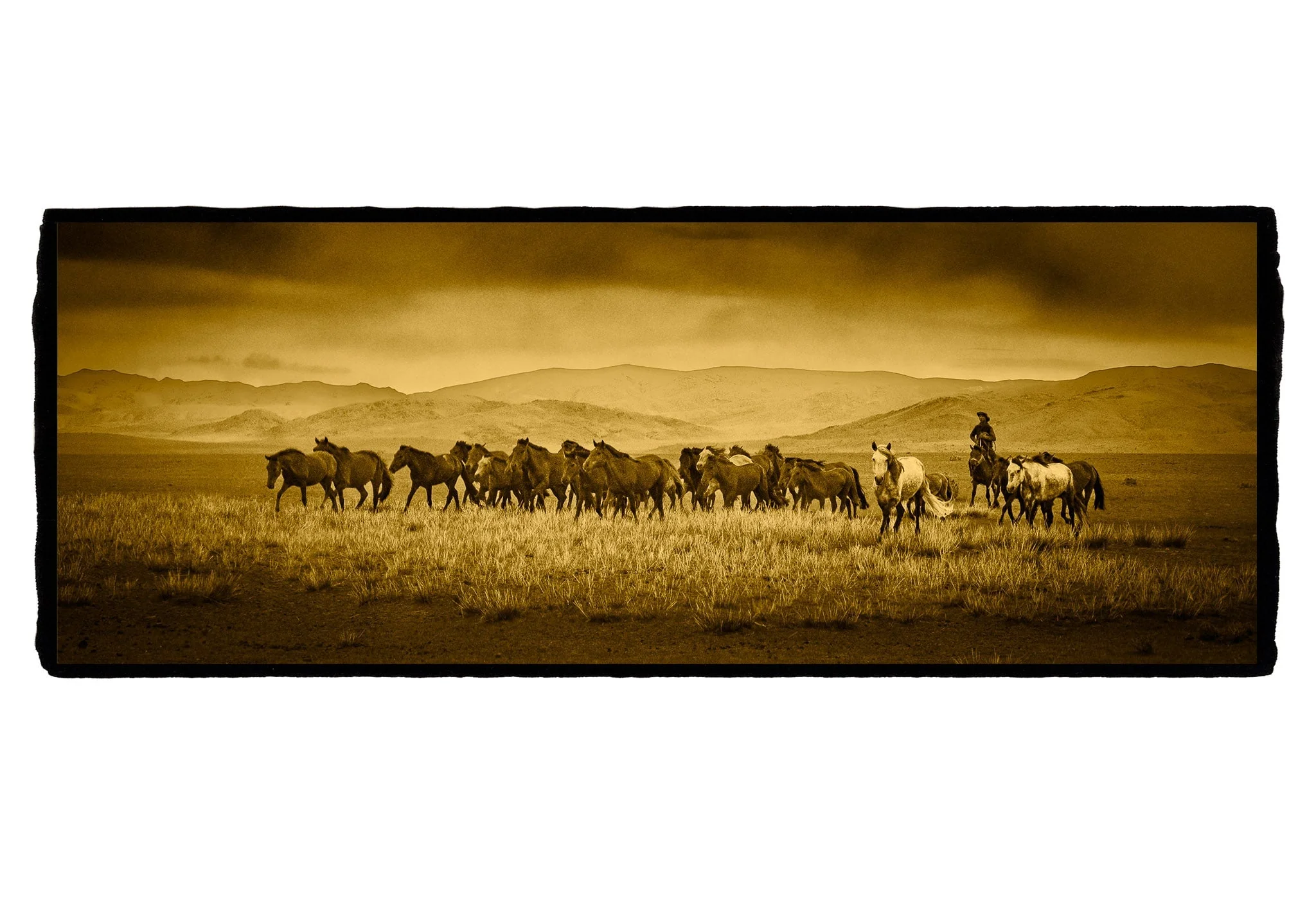 Horse Roundup, Mongolia