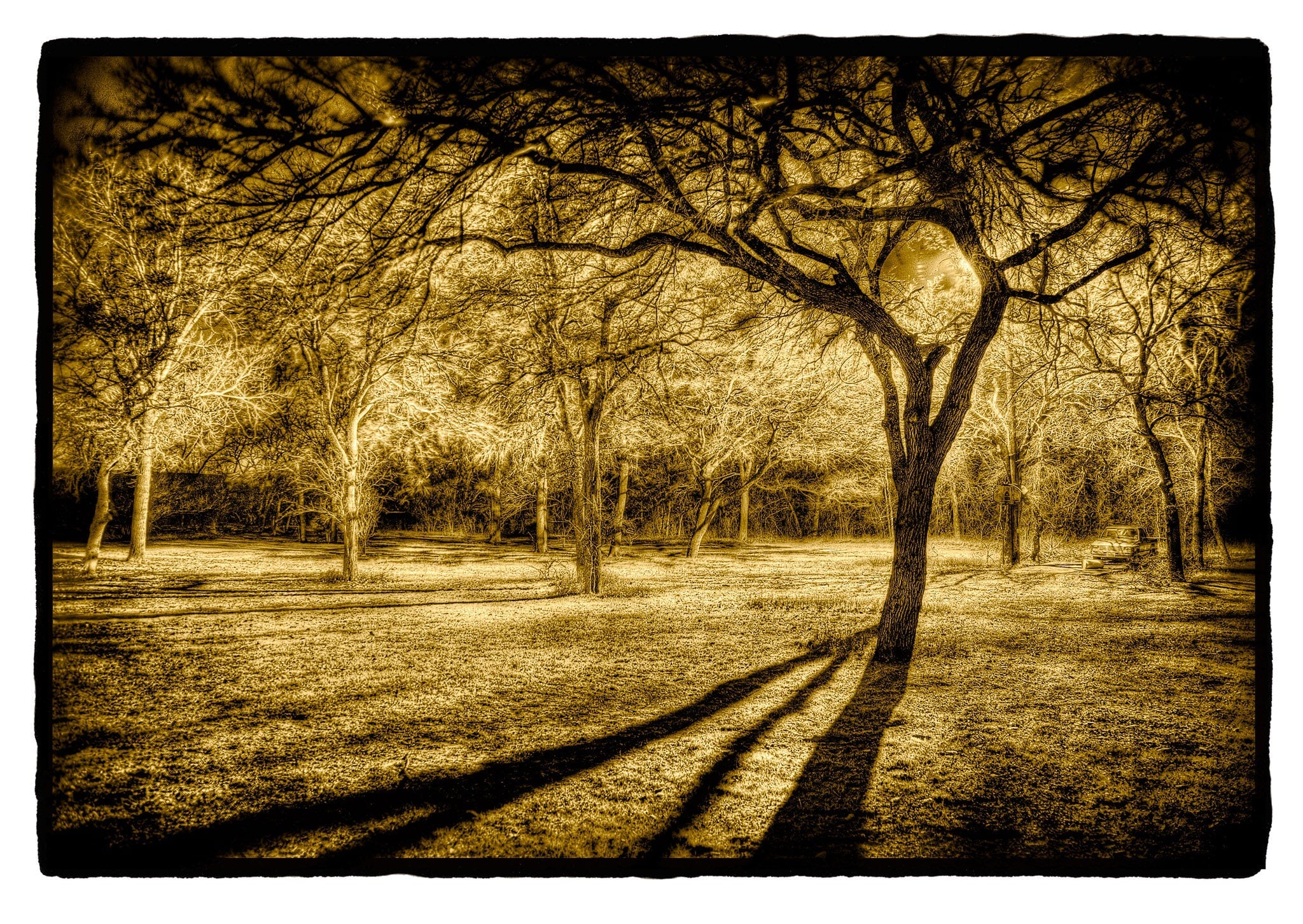 Trees and Truck at Midnight, Texas