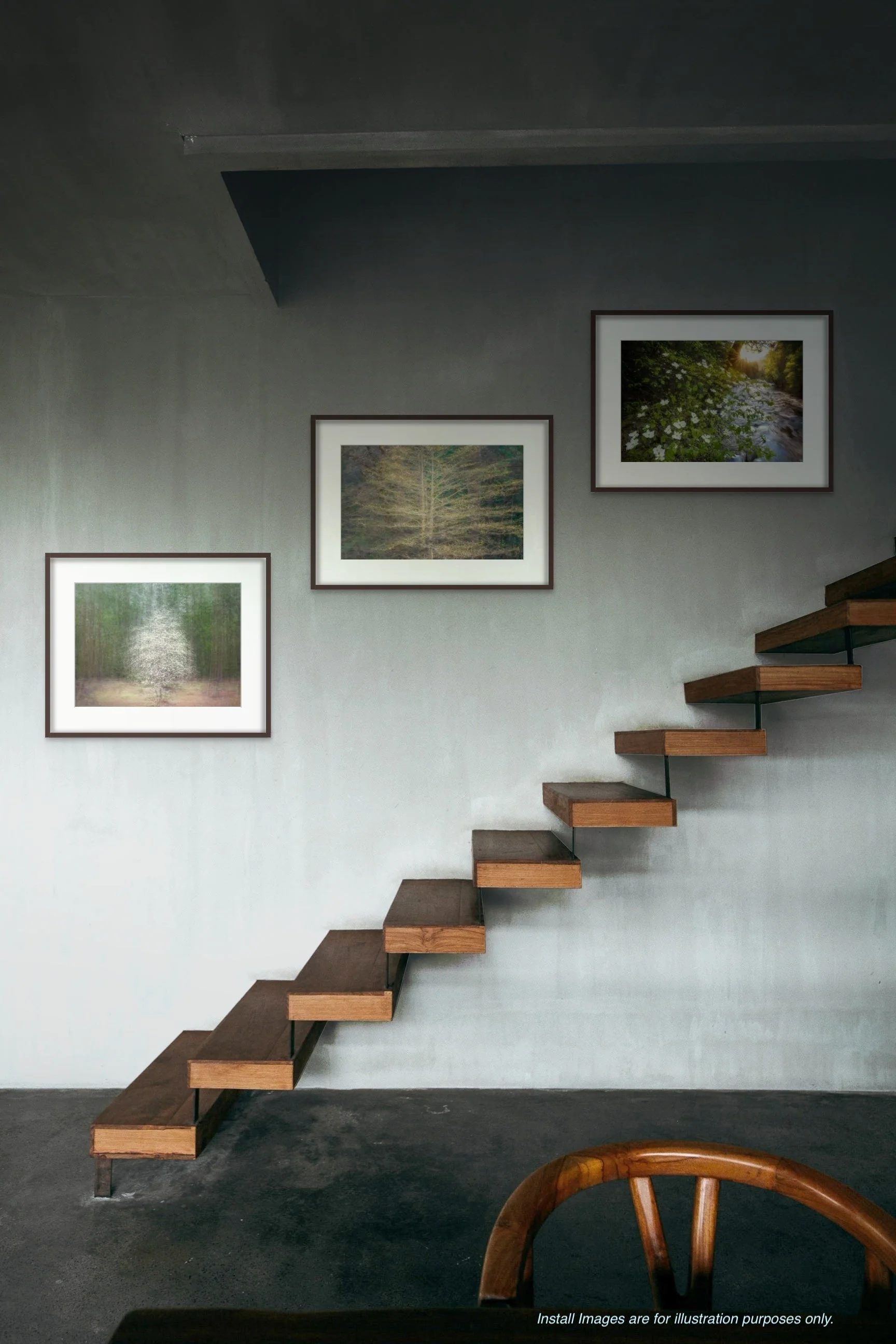 Dogwood Symphony - Image 2