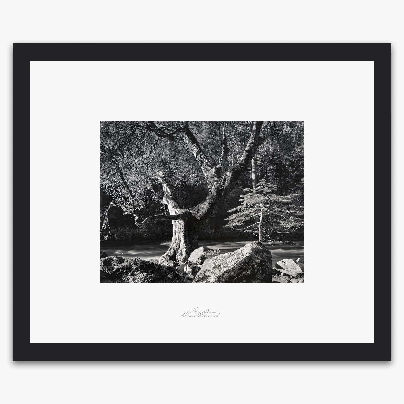 Early Morning, Merced River - Image 3