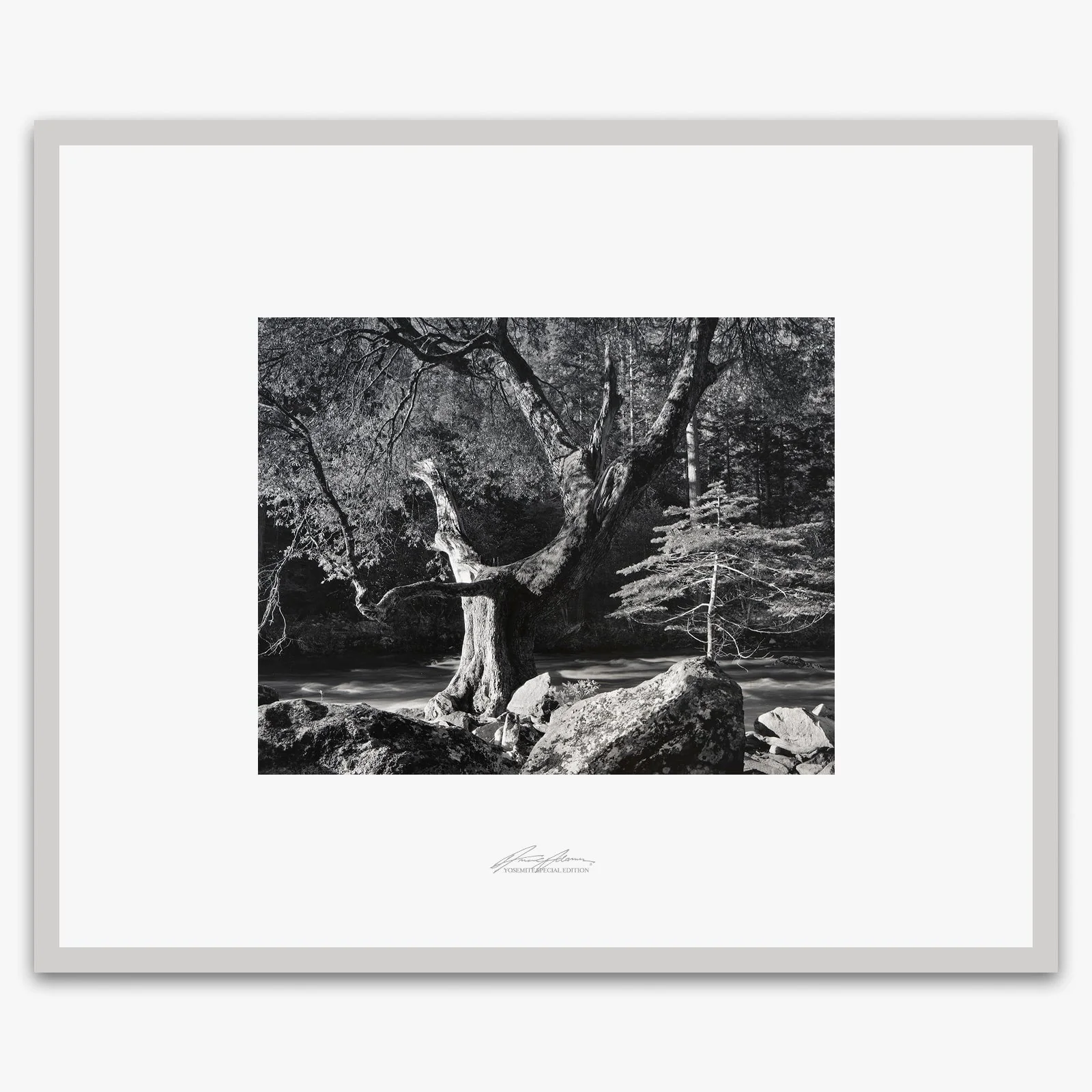 Early Morning, Merced River - Image 4