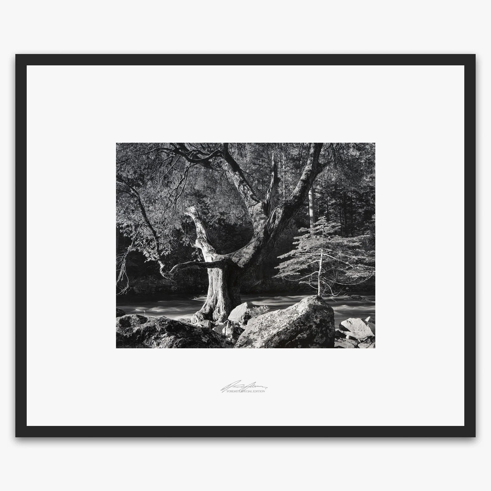 Early Morning, Merced River - Image 5