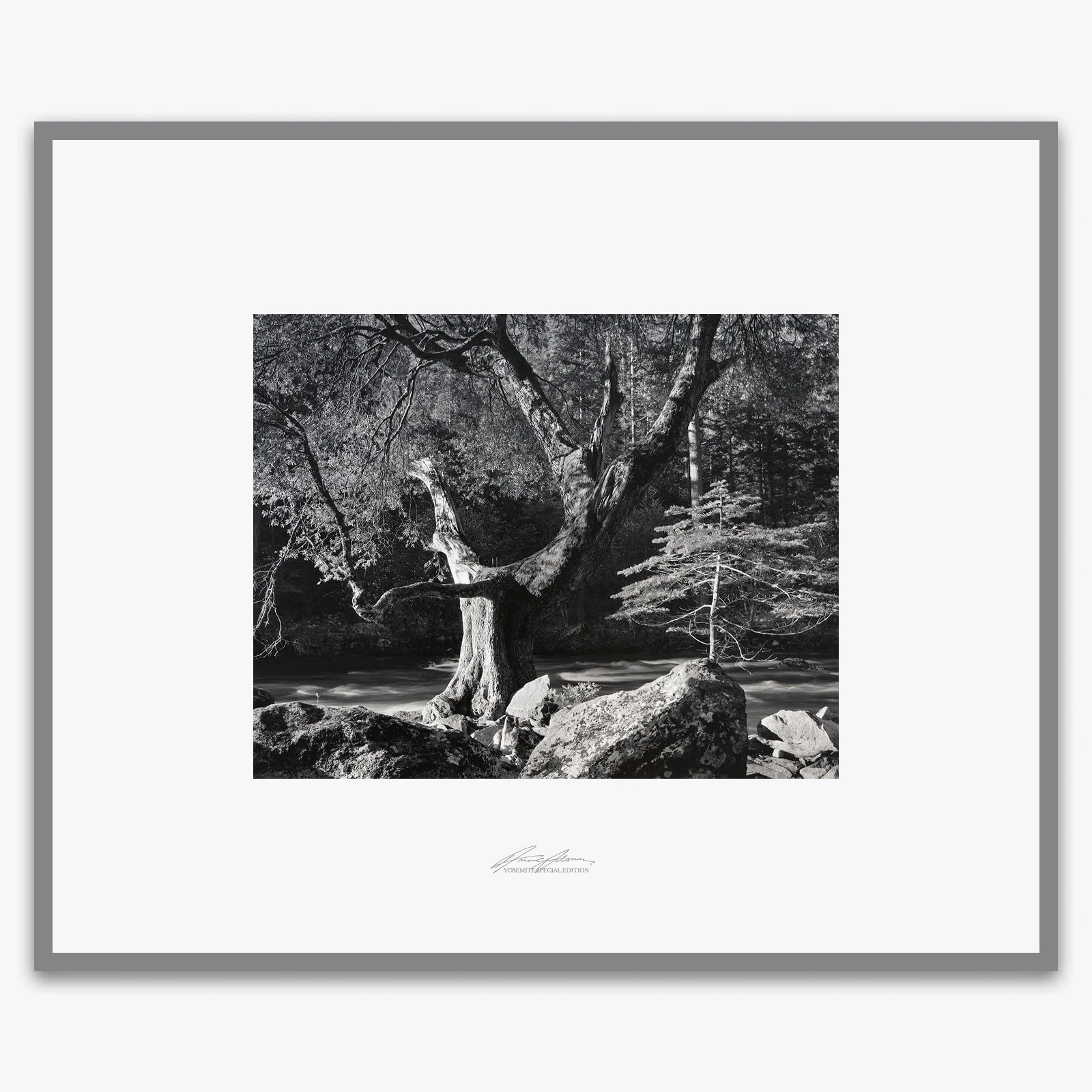 Early Morning, Merced River - Image 6