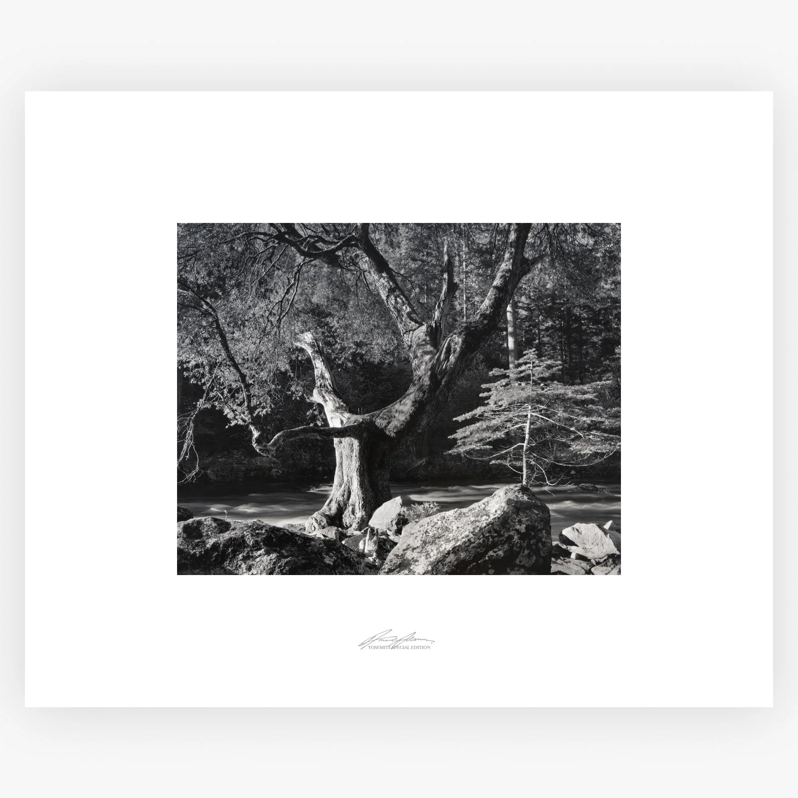 Early Morning, Merced River - Image 7