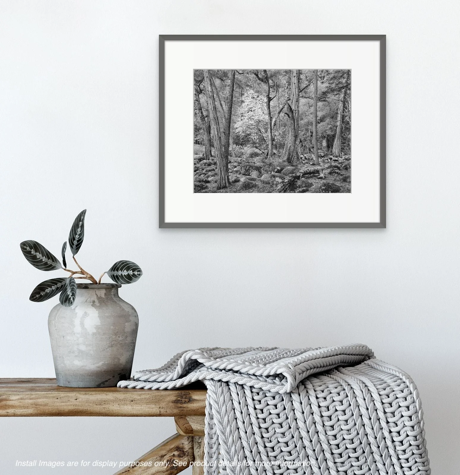 Forest in Spring, Happy Isles, Yosemite Valley, CA 1989 - Image 2