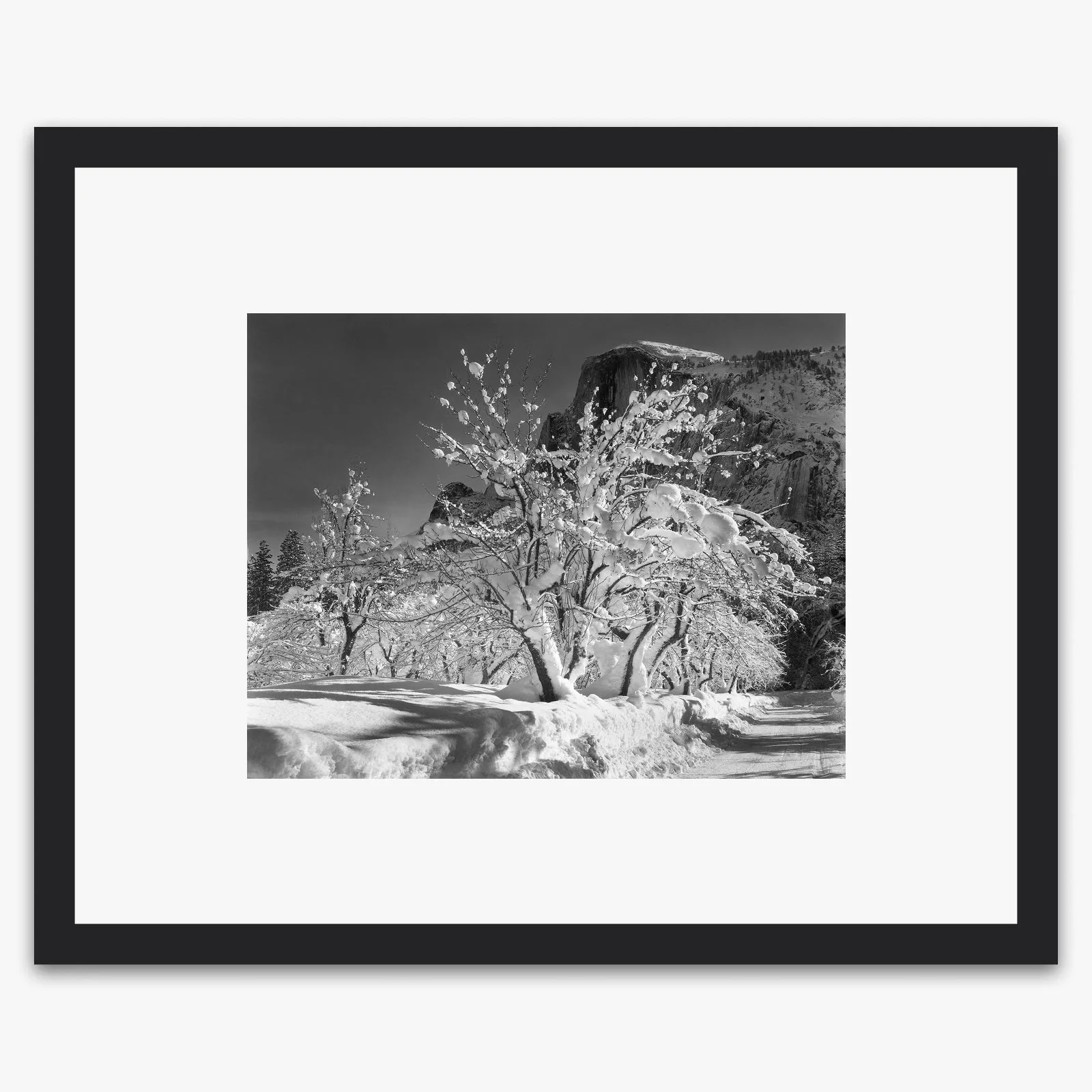 Half Dome, Apple Orchard - Image 3