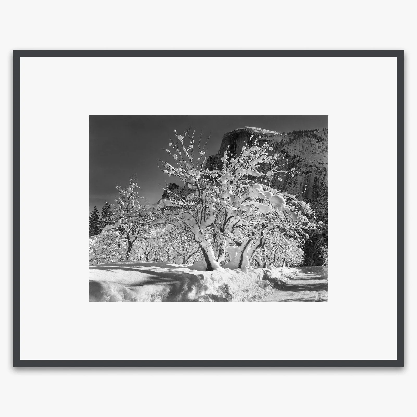 Half Dome, Apple Orchard - Image 4
