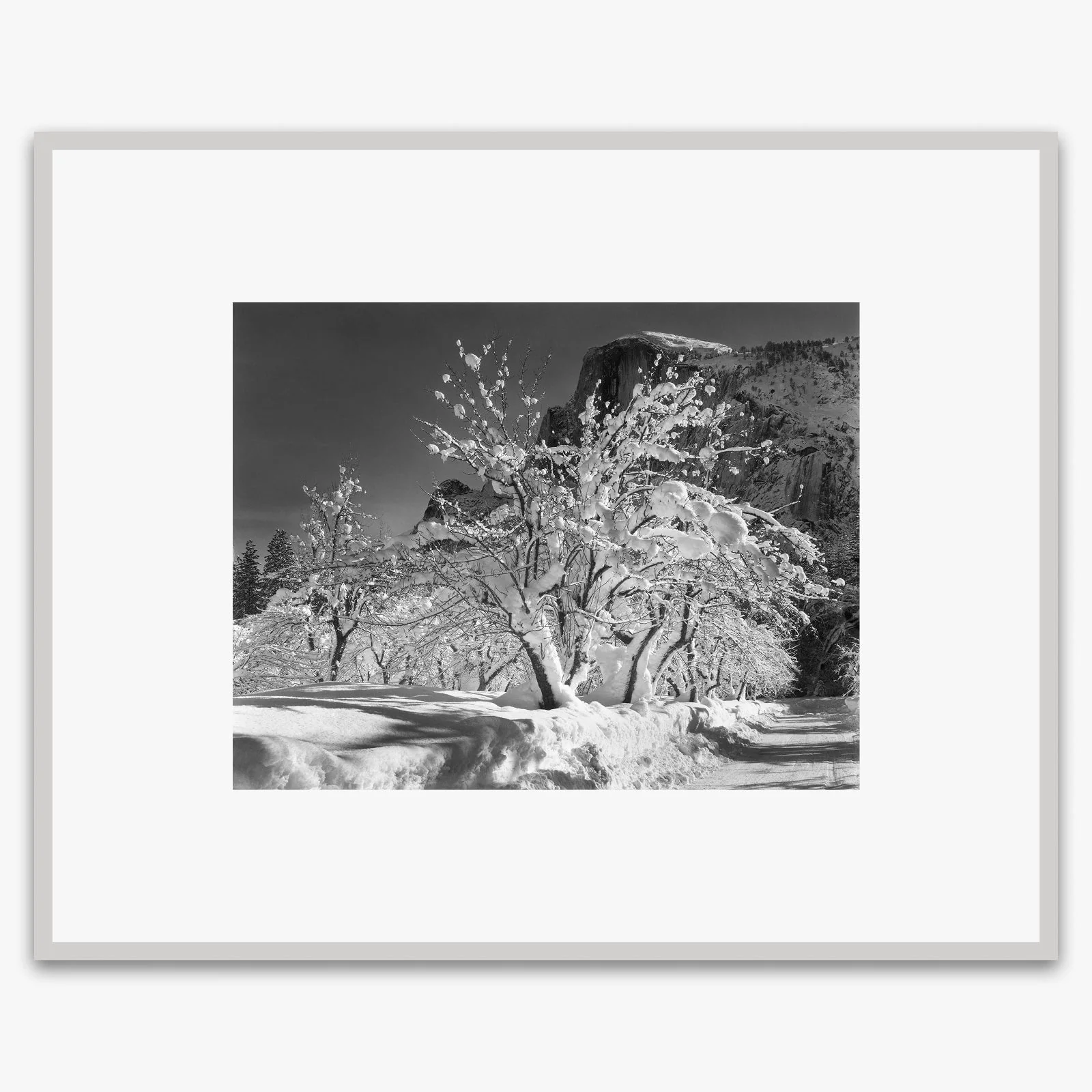 Half Dome, Apple Orchard - Image 5