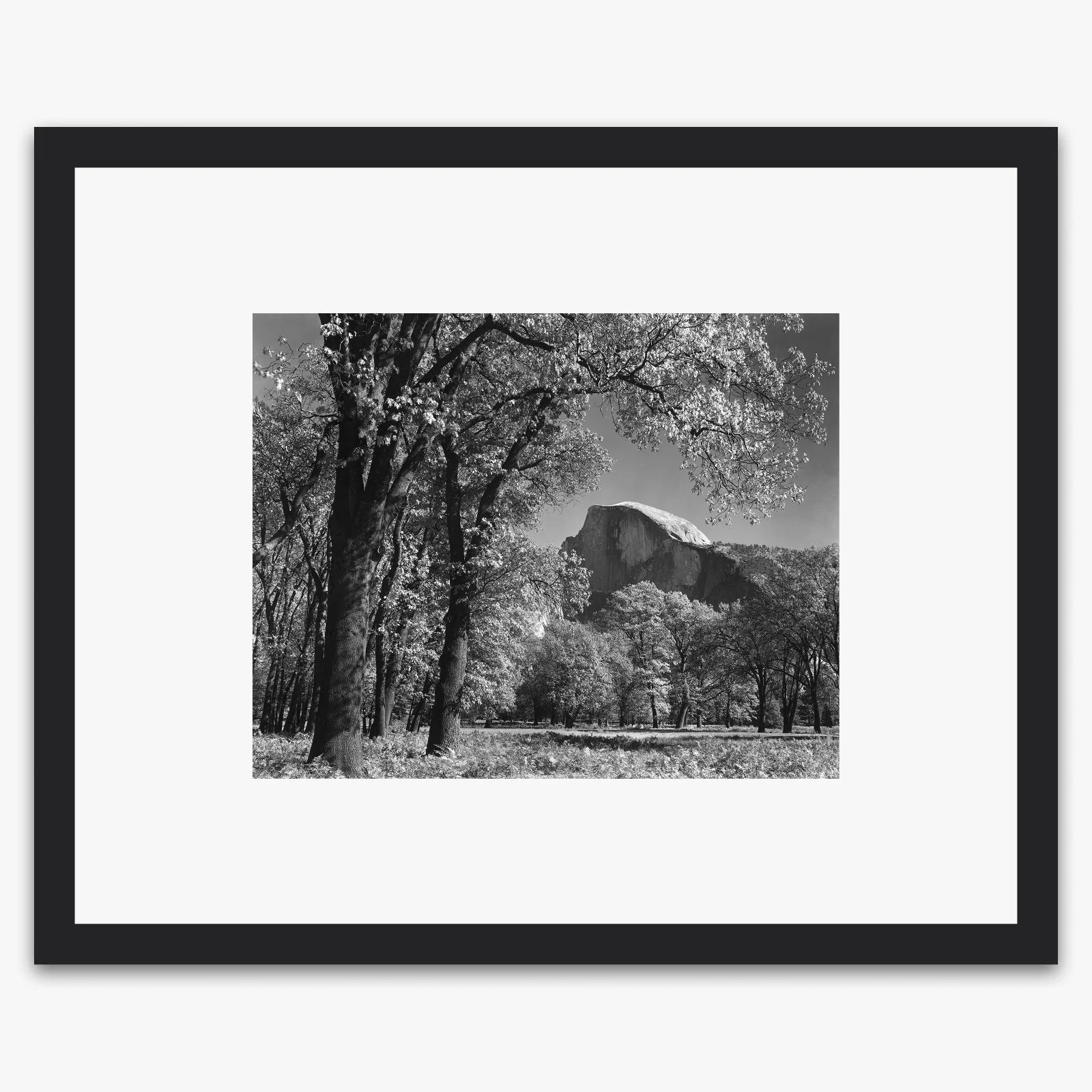 Half Dome, Autumn - Image 3