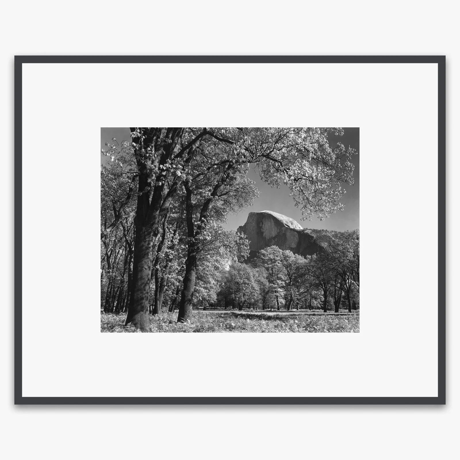 Half Dome, Autumn - Image 4