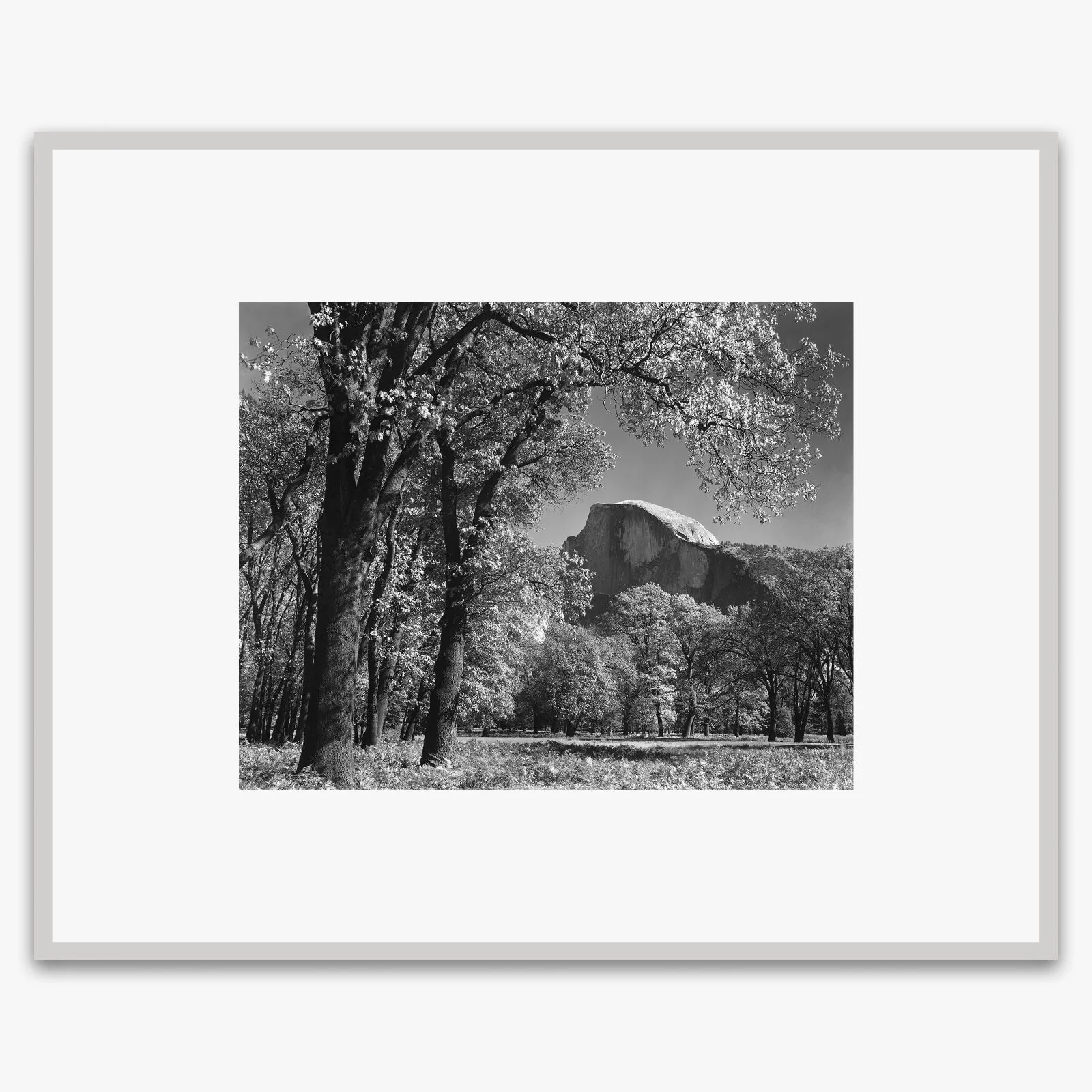 Half Dome, Autumn - Image 5