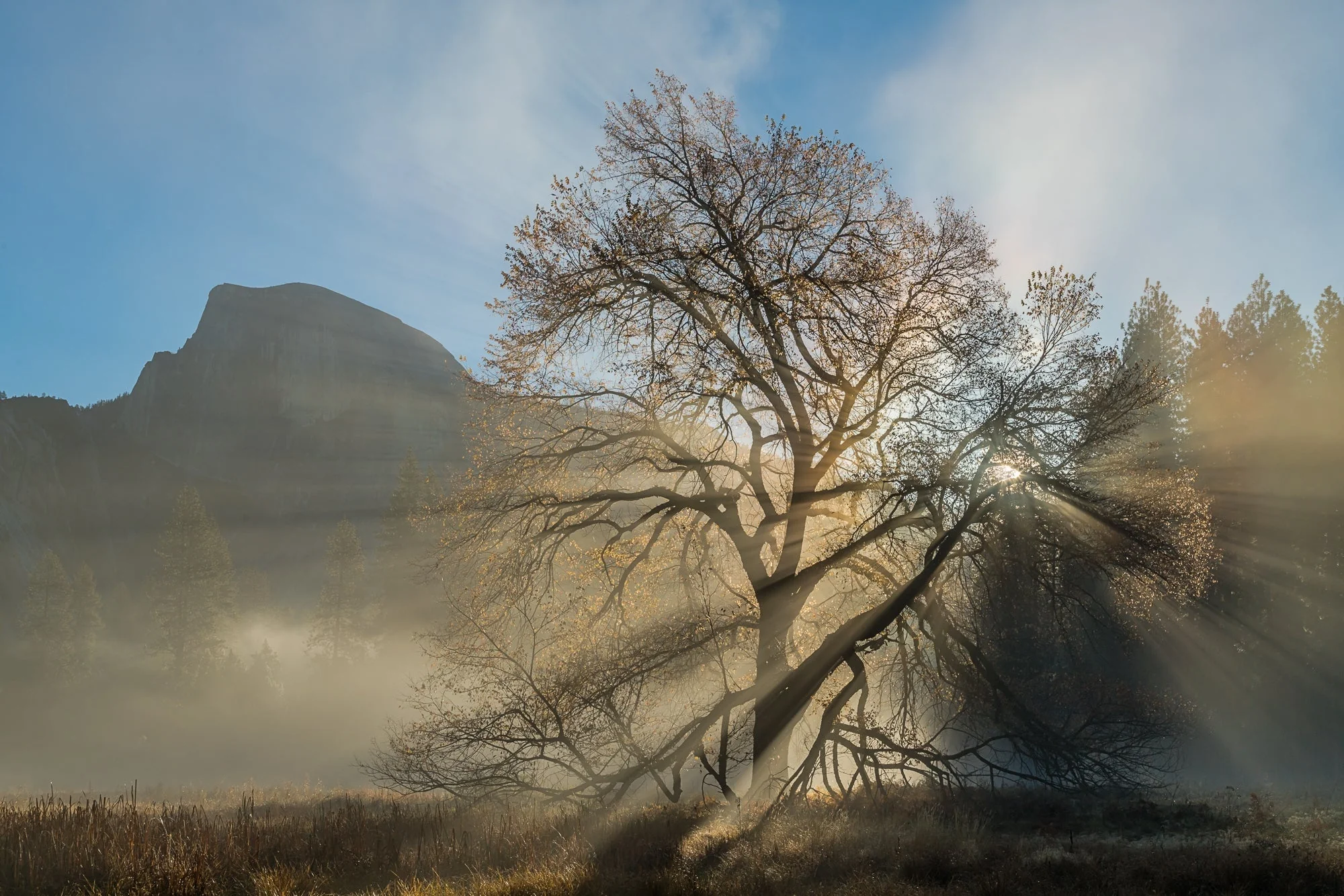 Half Dome, Elm and Sunbeams, Yosemite National Park, California 2016