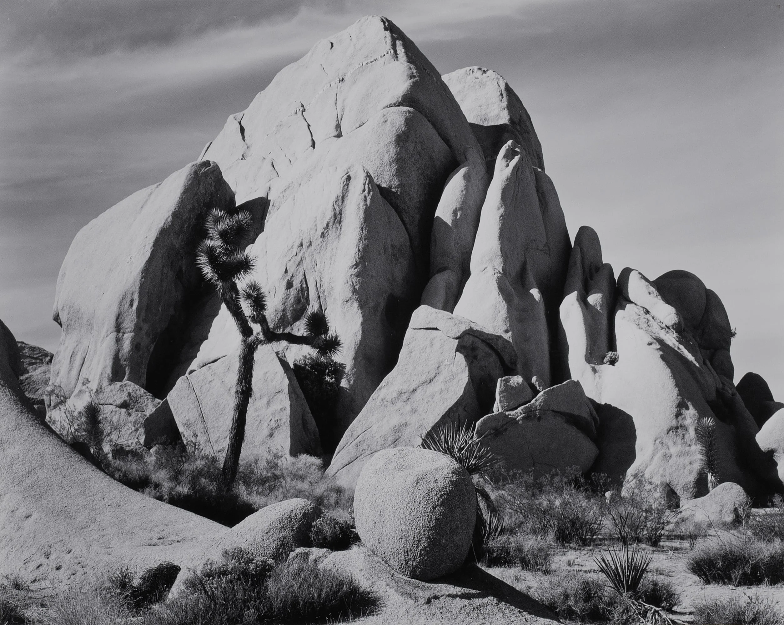 In Joshua Tree, National Monument