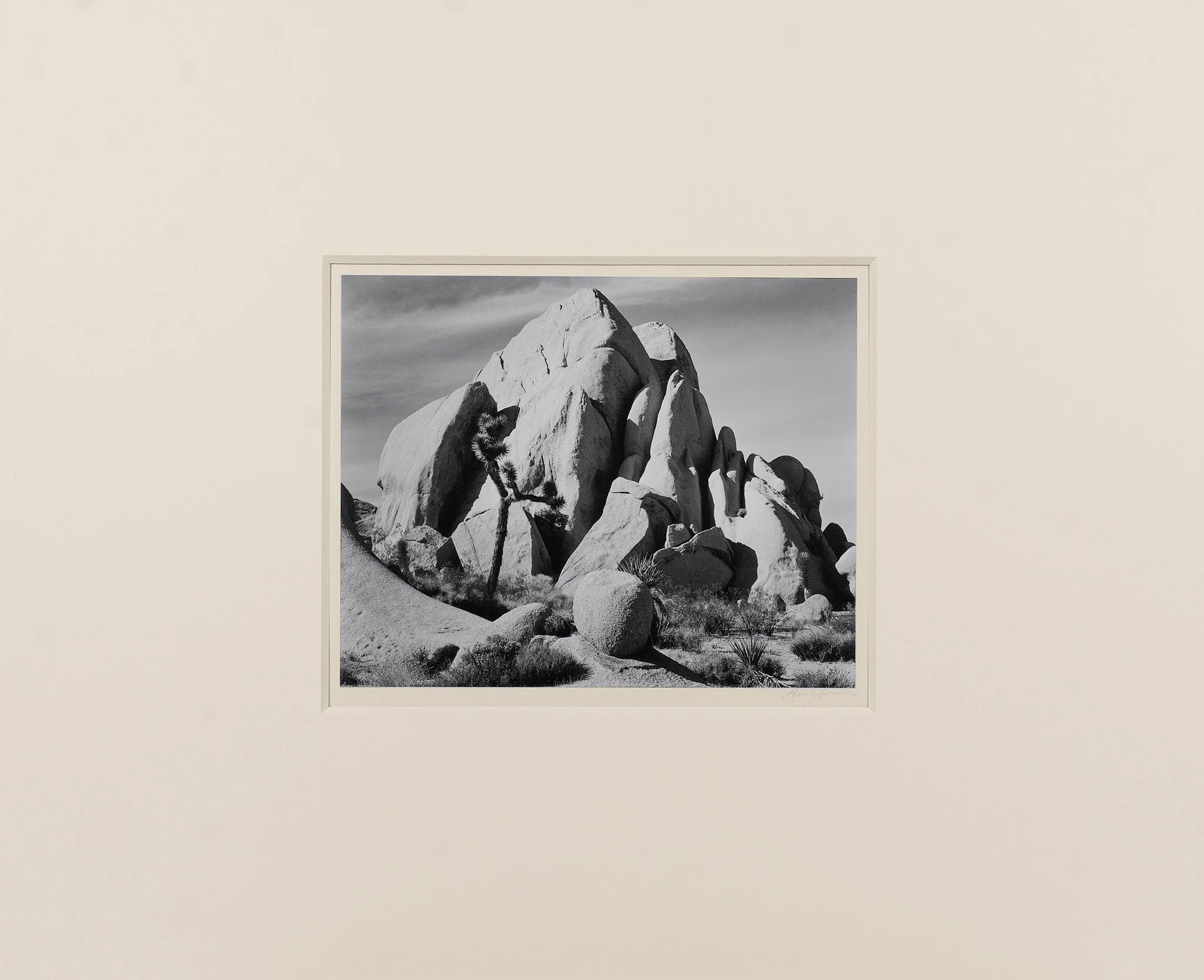 In Joshua Tree, National Monument - Image 2