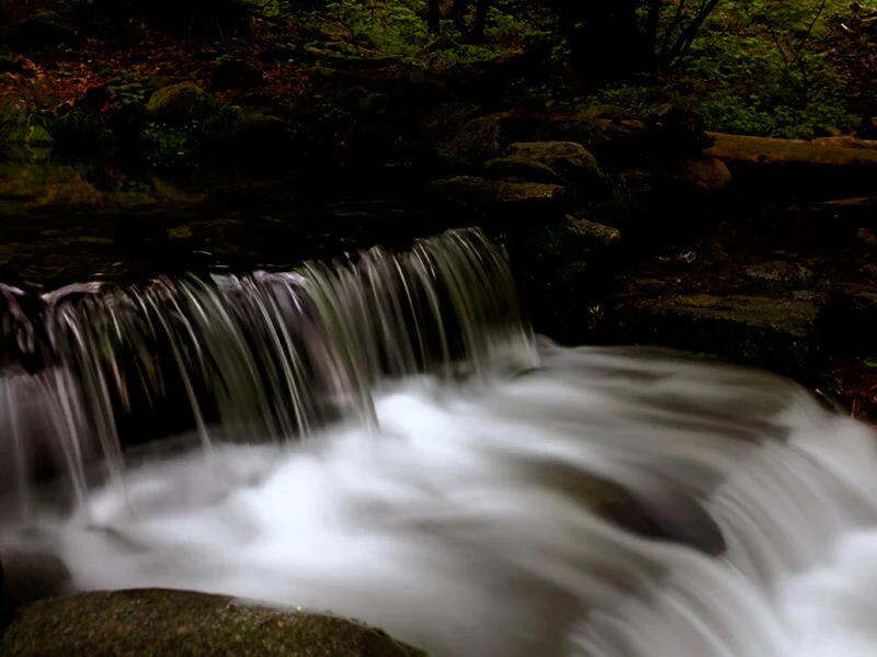 In the Field: Creative Smartphone Photography - Image 4