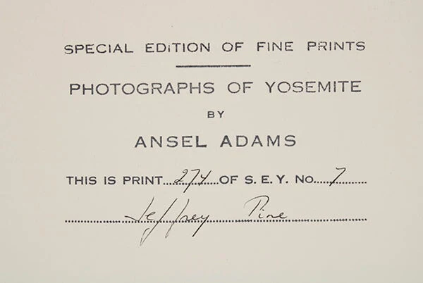 Jeffrey Pine - Signed Special Edition Photograph - Image 3