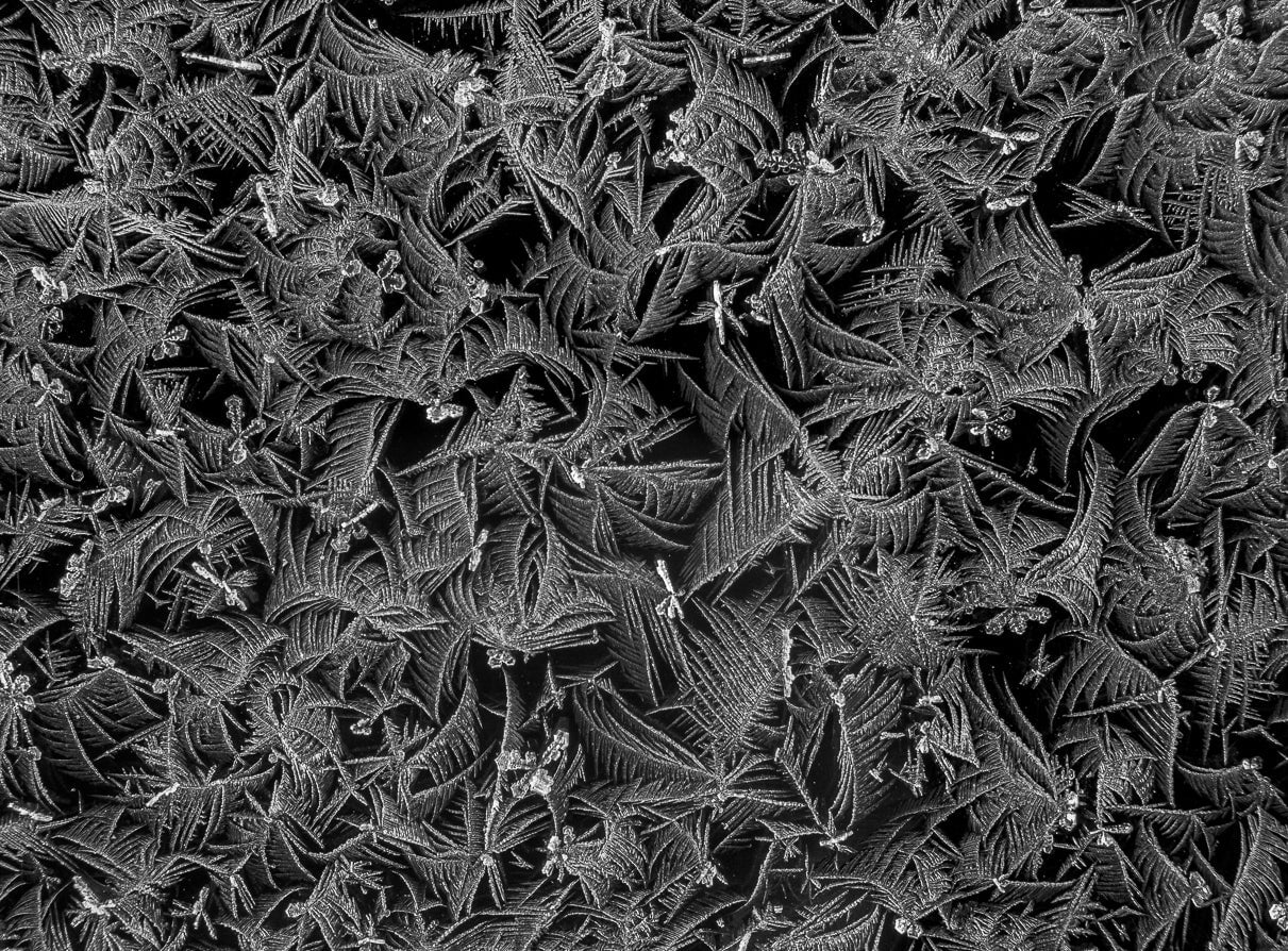 Frost on Glass, Boise Idaho