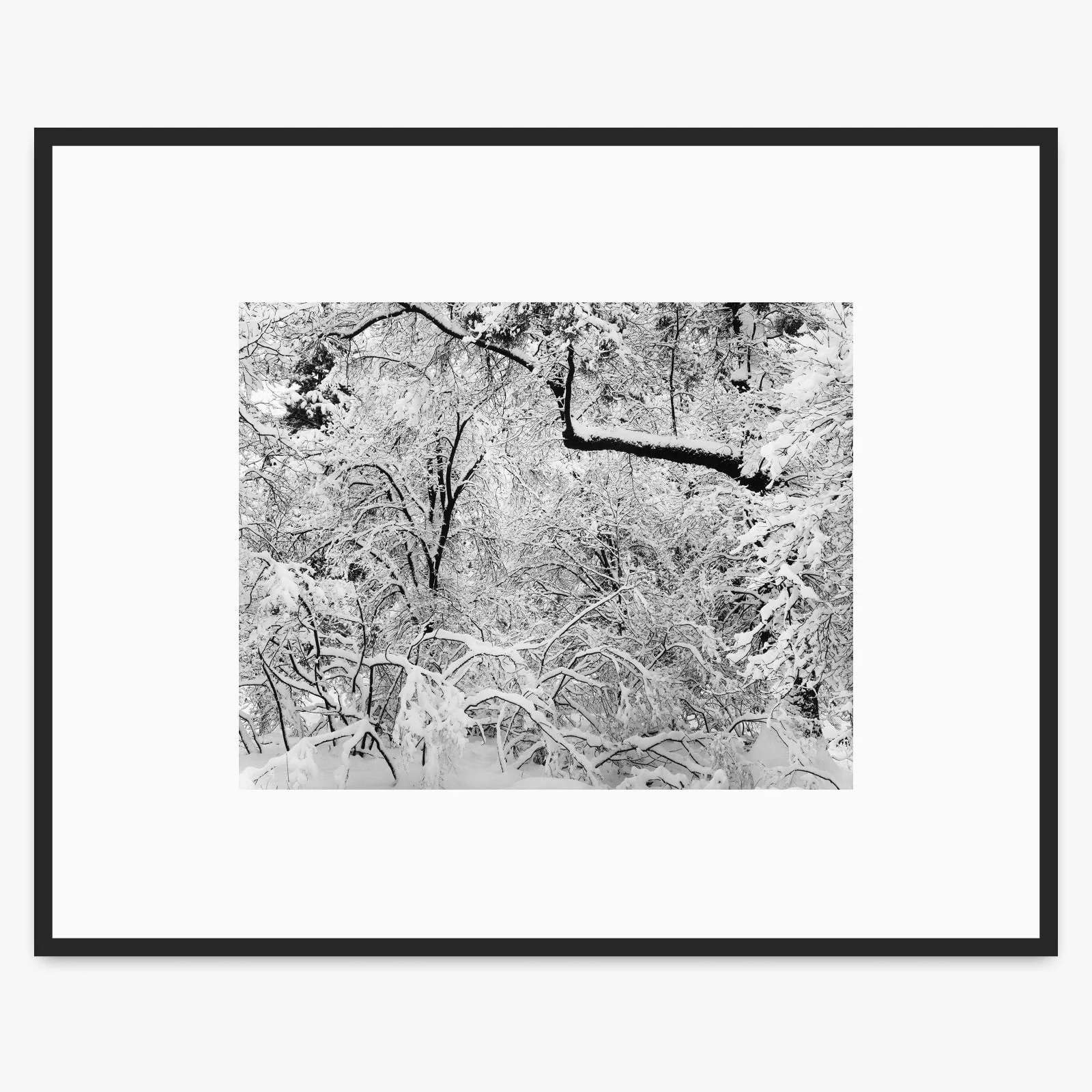 Fresh Snow - Image 2