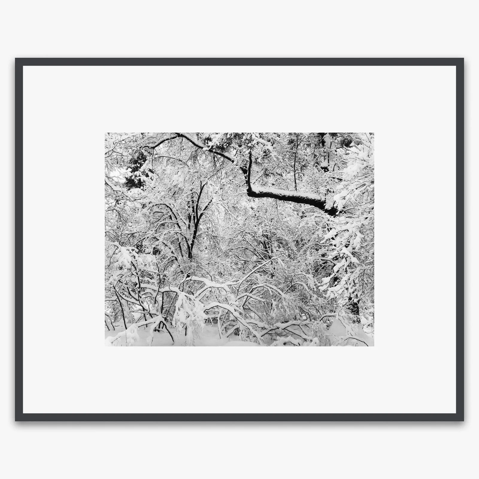Fresh Snow - Image 4