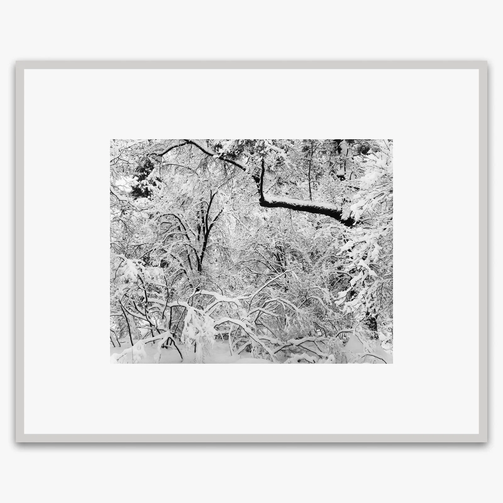 Fresh Snow - Image 5