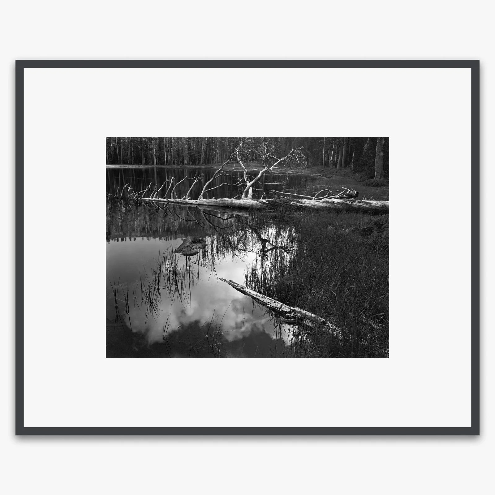 Siesta Lake - Image 4