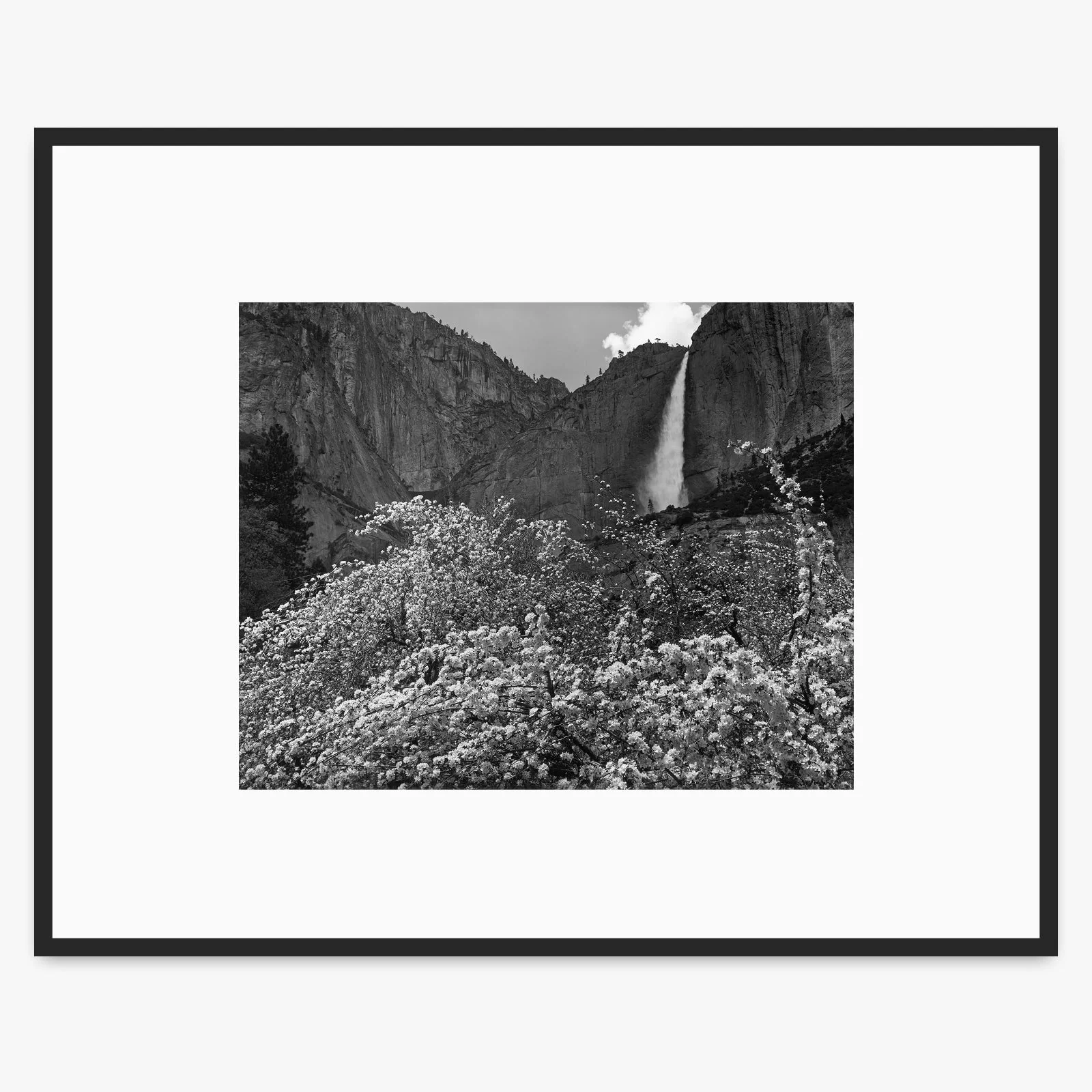 Yosemite Falls and Apple Blossoms - Image 2