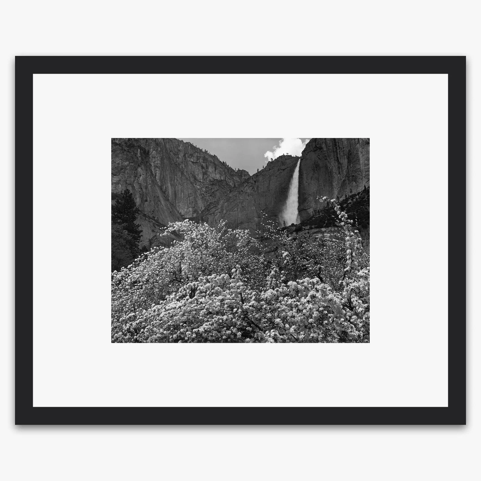 Yosemite Falls and Apple Blossoms - Image 3