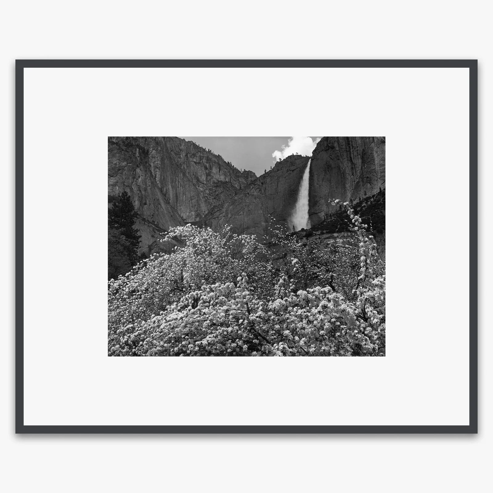 Yosemite Falls and Apple Blossoms - Image 4