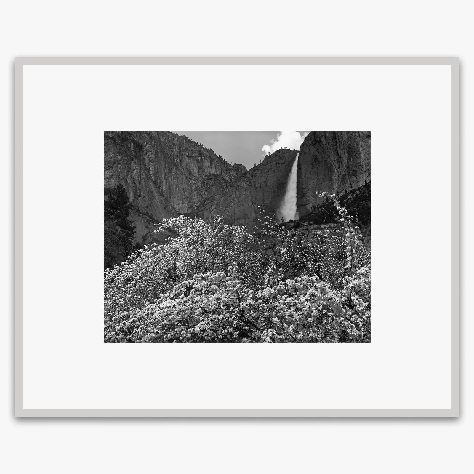 Yosemite Falls and Apple Blossoms - Image 5