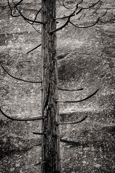 Modern Photogravure Printing - Image 3