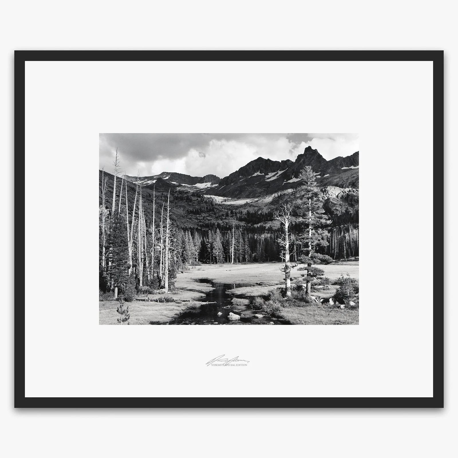Mt. Ansel Adams, Lyell Fork - Image 5