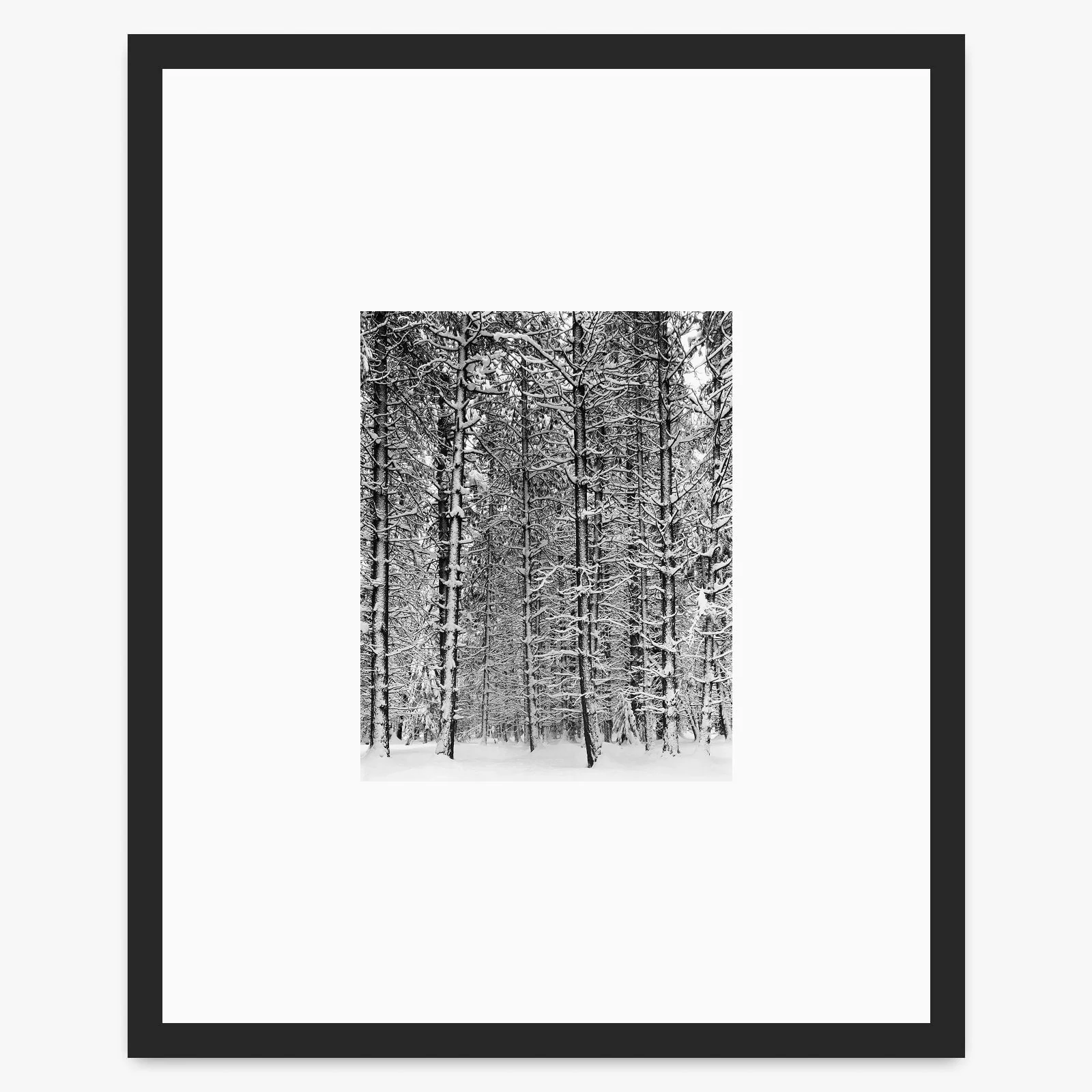 Pine Forest in Snow - Image 3