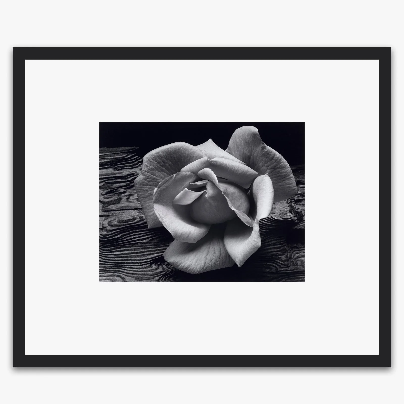 Rose and Driftwood - Image 3