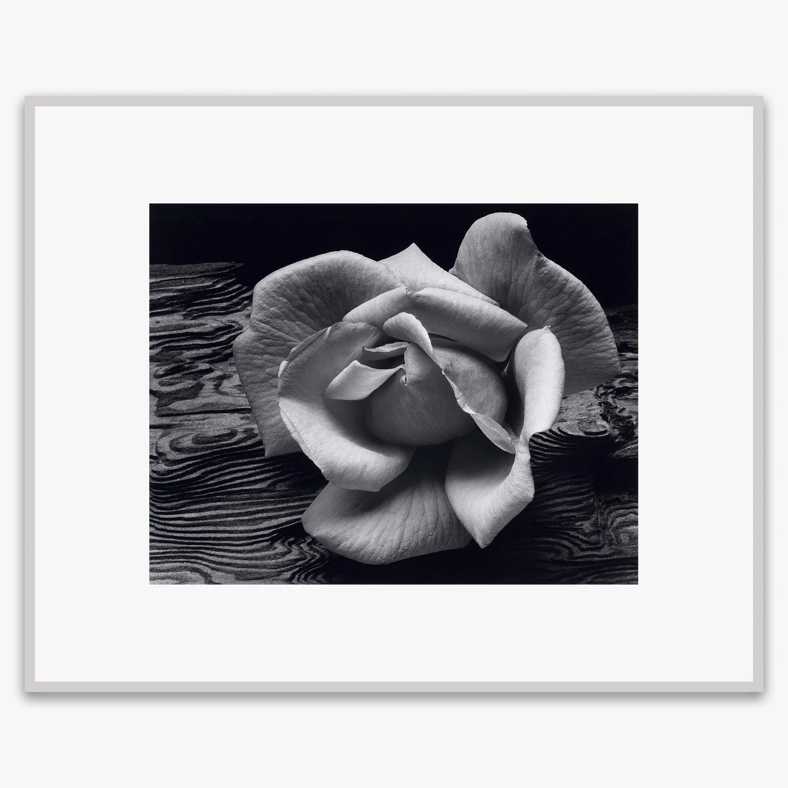 Rose and Driftwood - Image 4
