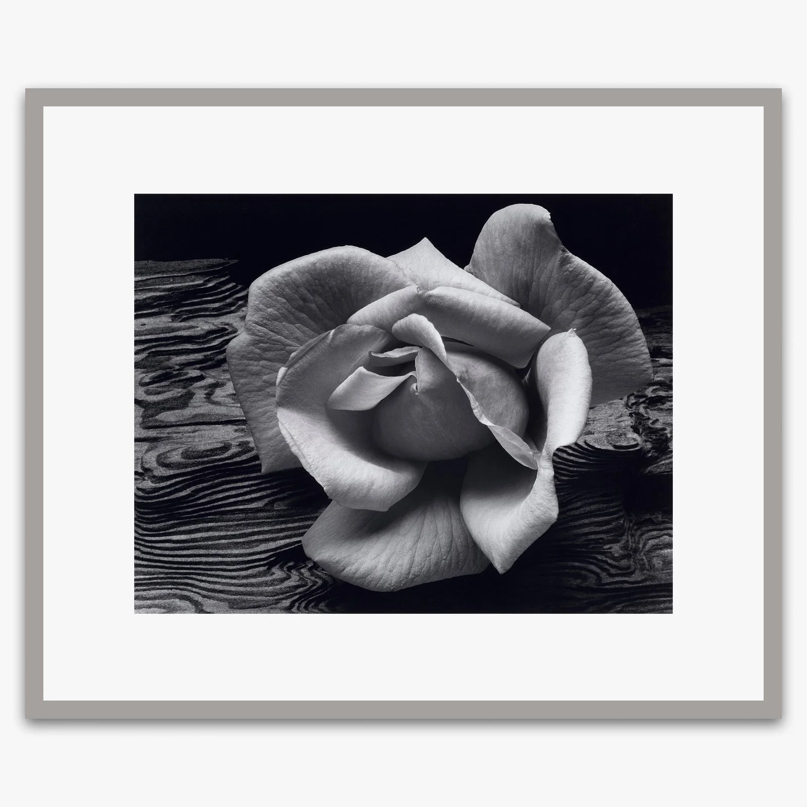 Rose and Driftwood - Image 5