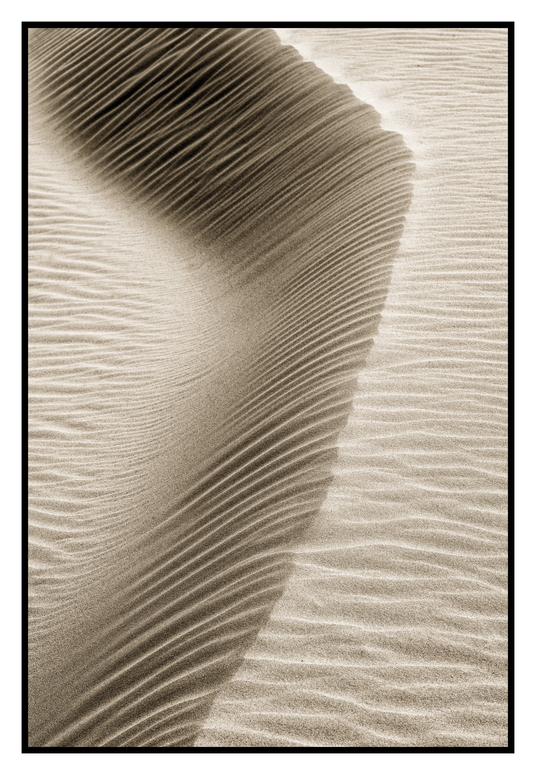 Sand Patterns, Oceano Dunes, CA 2022