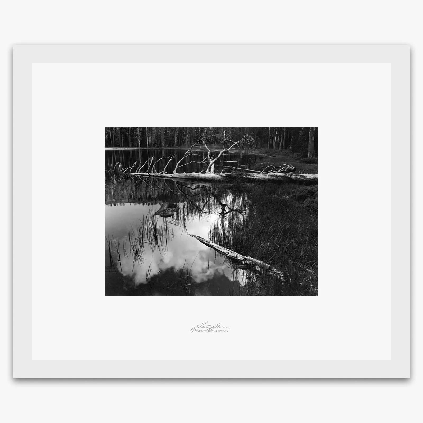 Siesta Lake - Image 2