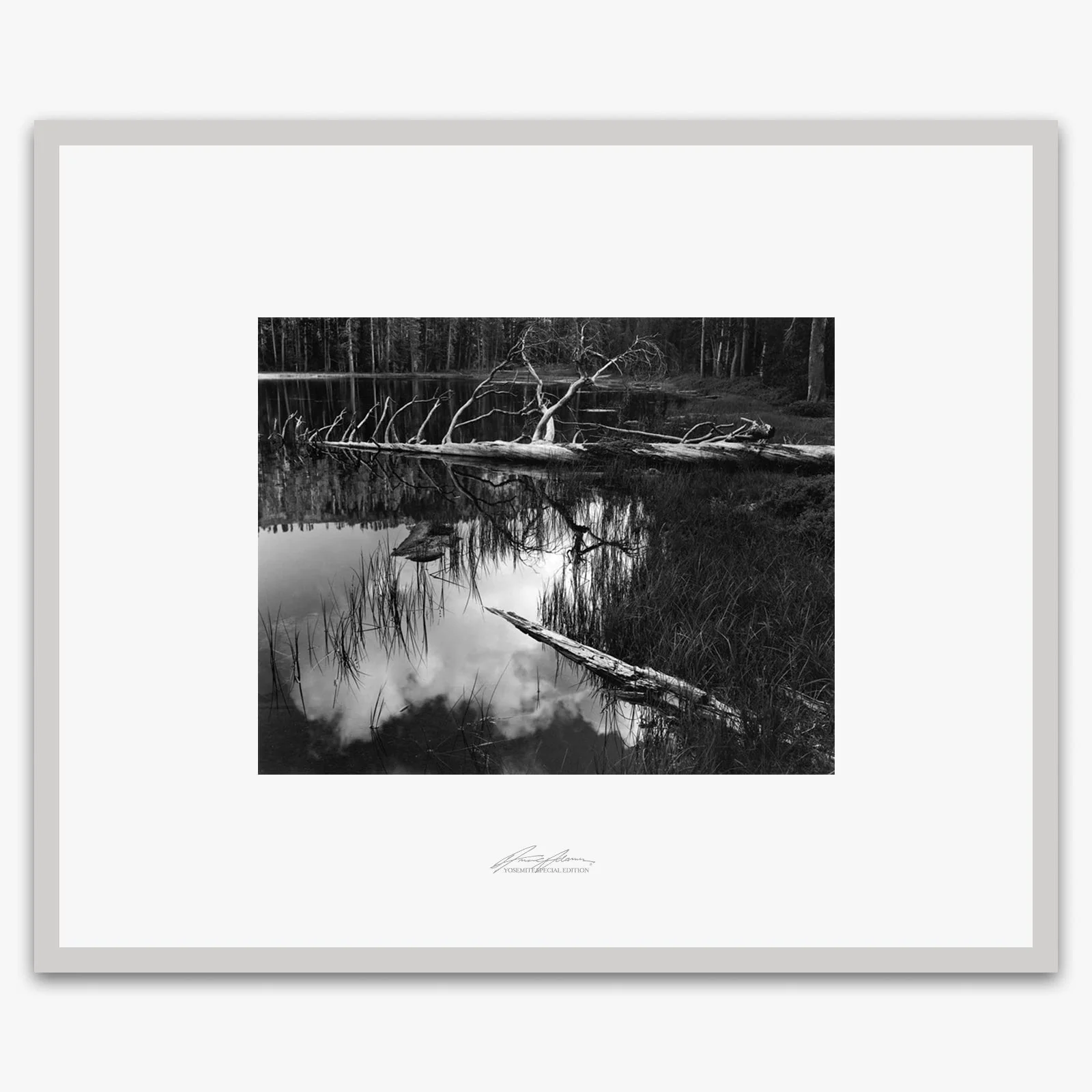 Siesta Lake - Image 4