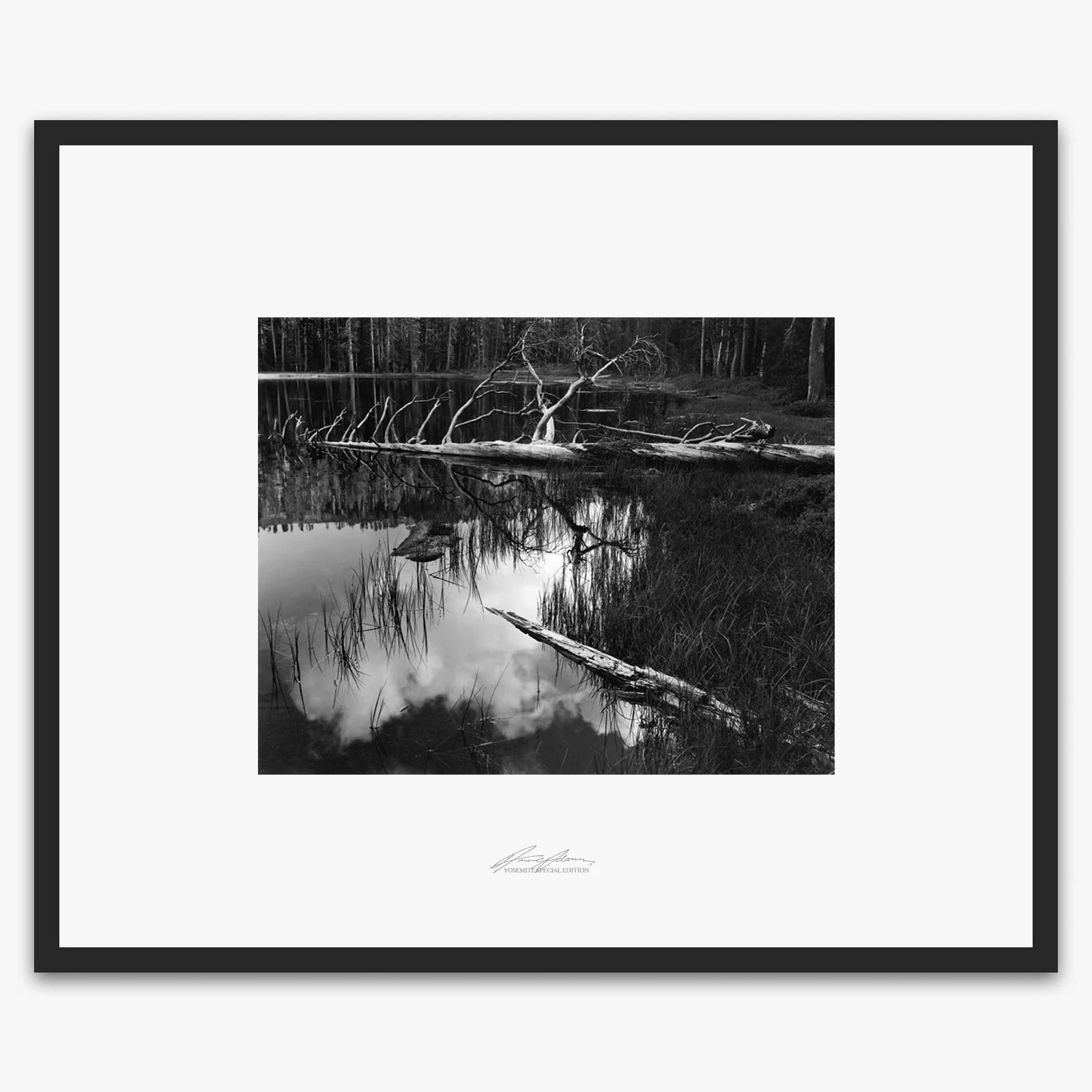 Siesta Lake - Image 5