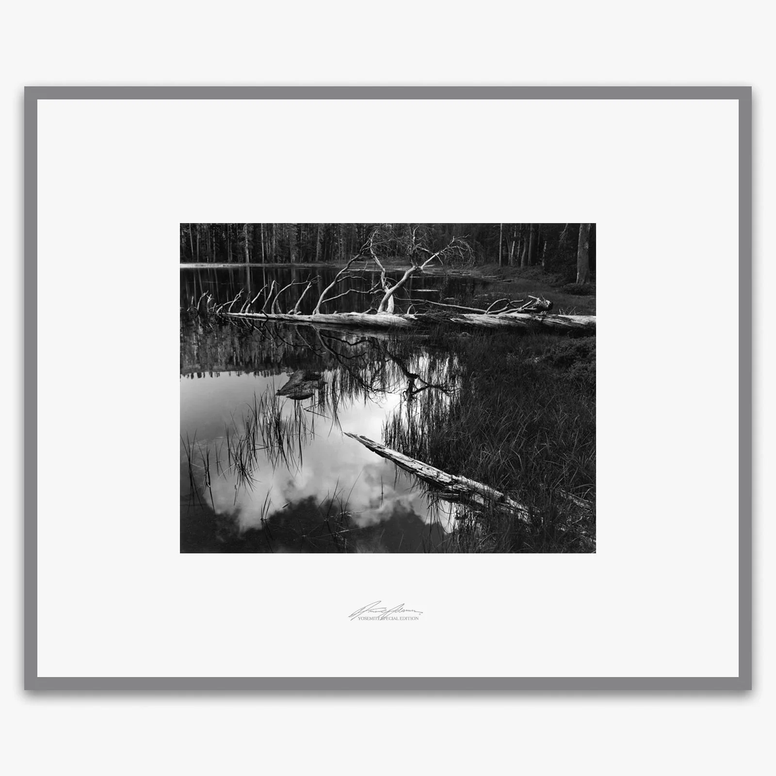 Siesta Lake - Image 6