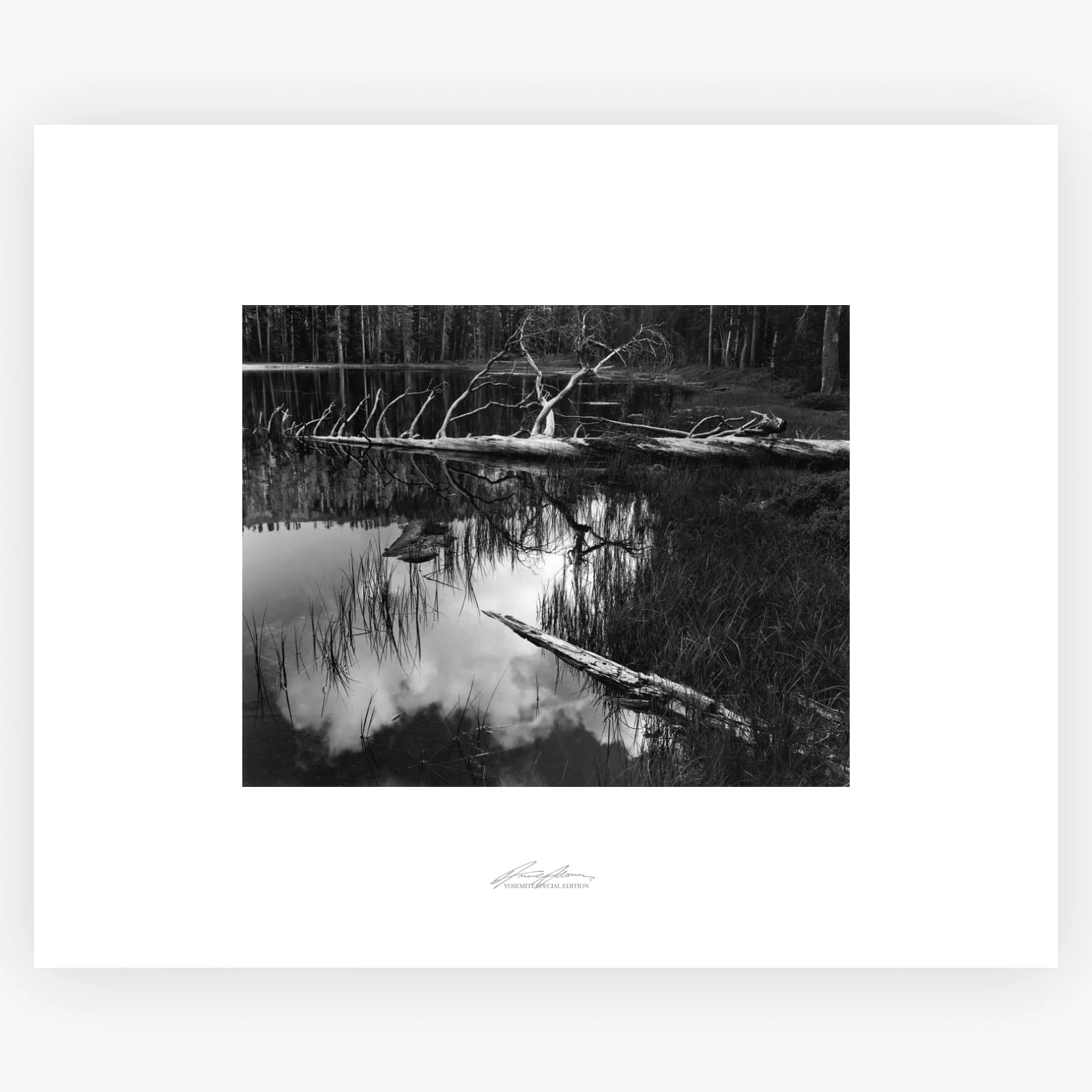 Siesta Lake - Image 7